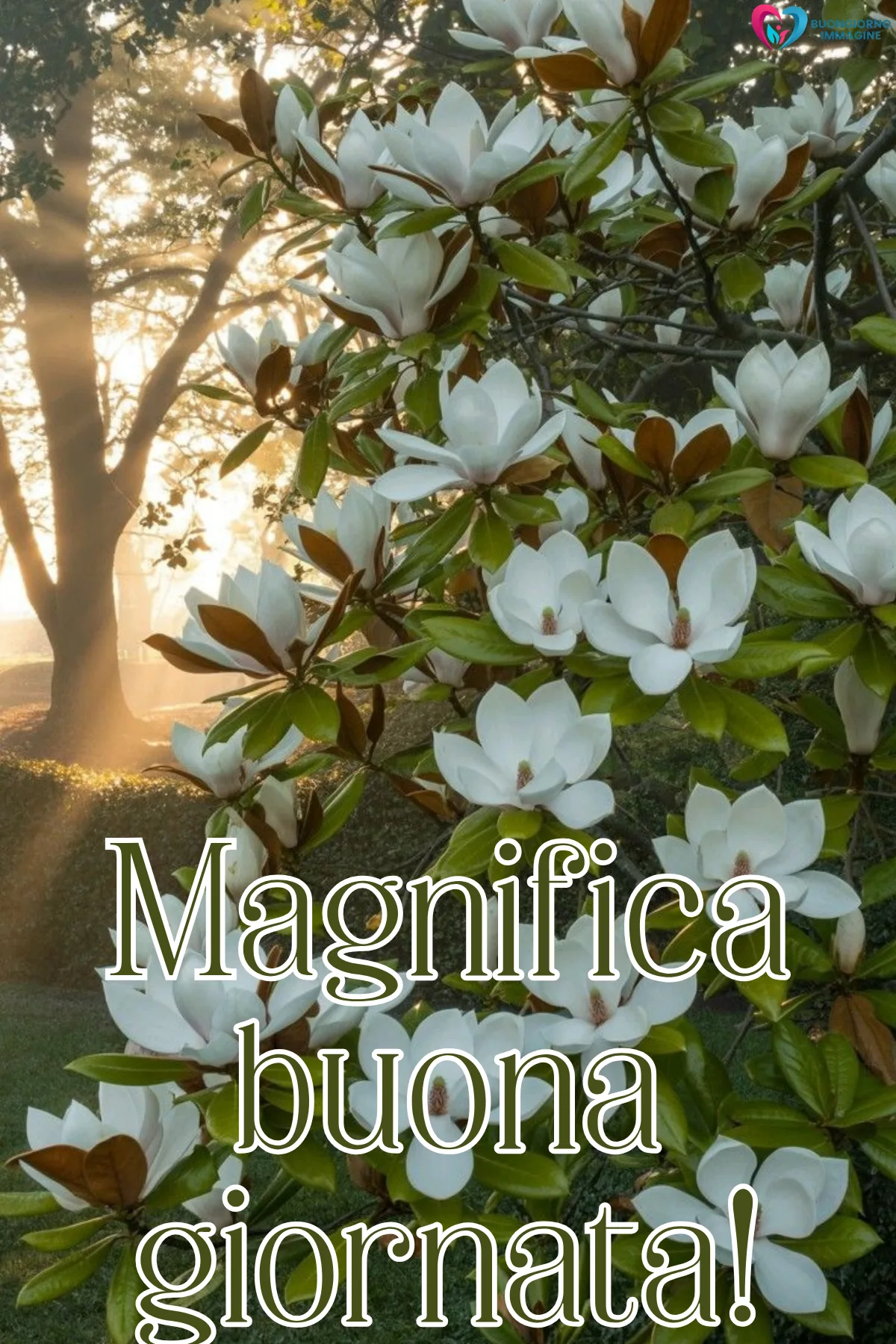 buongiorno buona giornata immagini con terrazza e colazione italiana