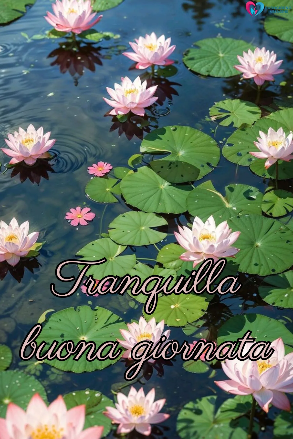 buona giornata immagini nuove con bouquet di rose fresche