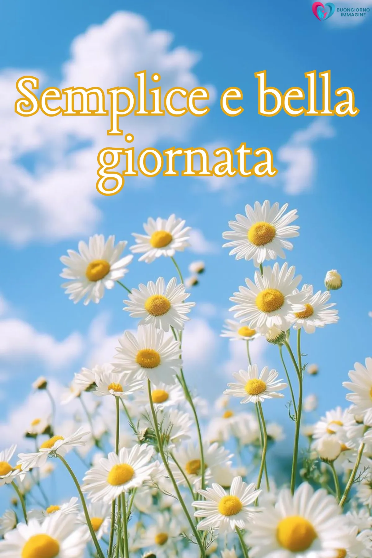 immagini buona giornata con mare e alba dorata