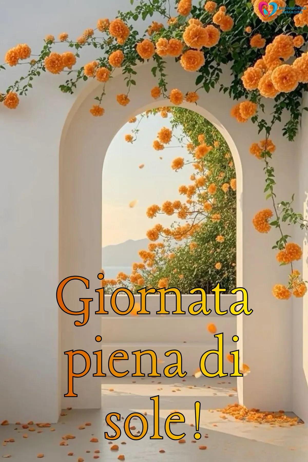 buona giornata gratis whatsapp con gatto assonnato e cuscini