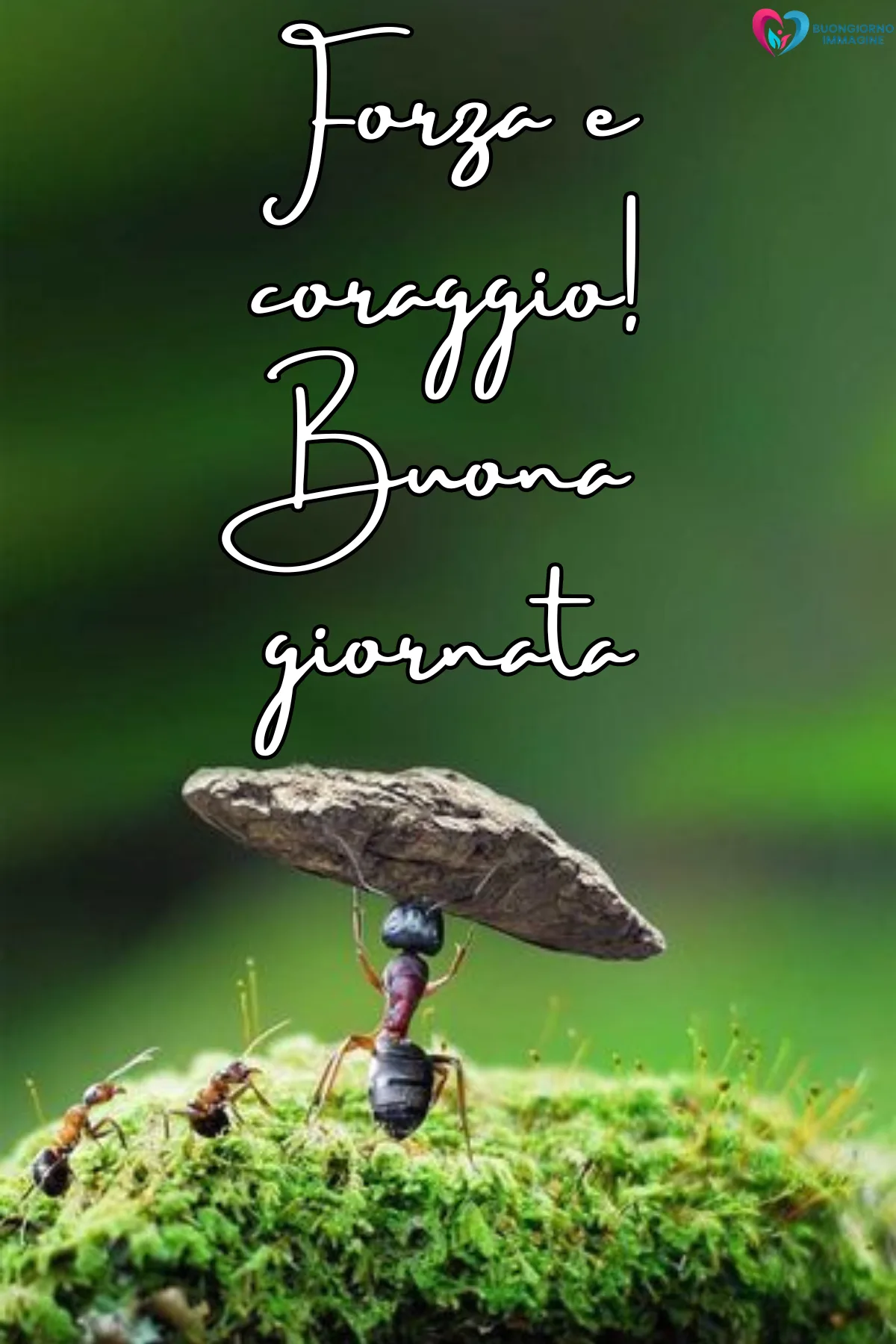 buona giornata immagini nuove con paesaggio luminoso del mattino