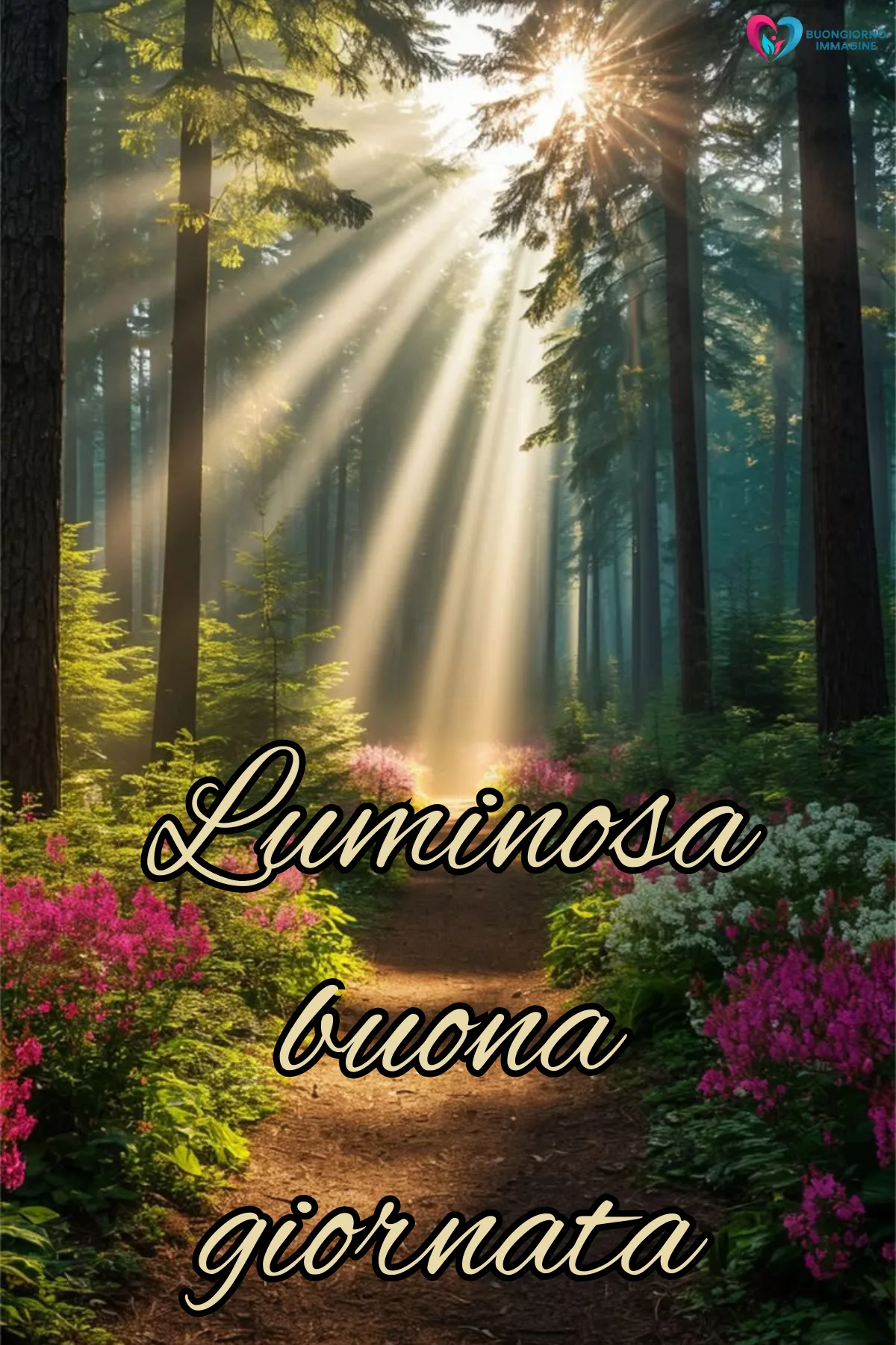 felice giornata immagini nuove con finestra aperta e luce calda