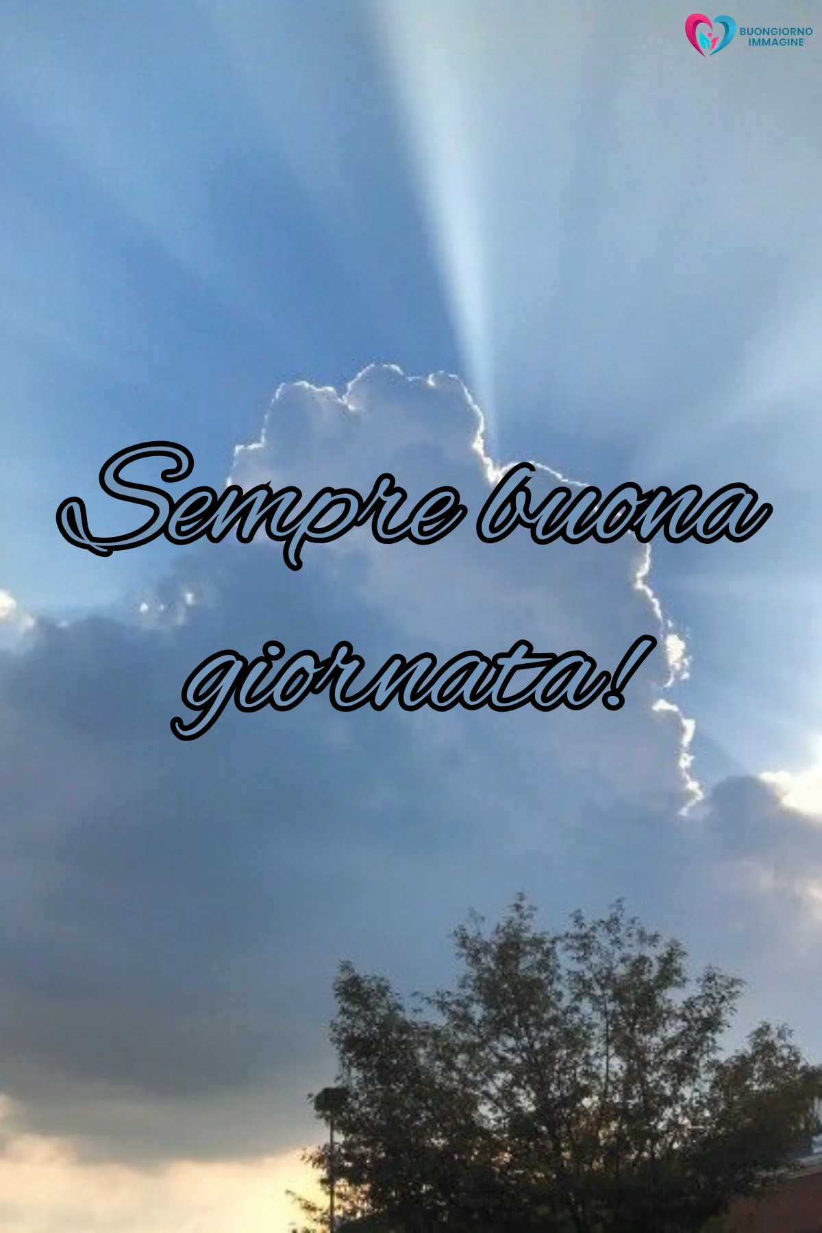 buona giornata immagini bellissime con fiori colorati e sole