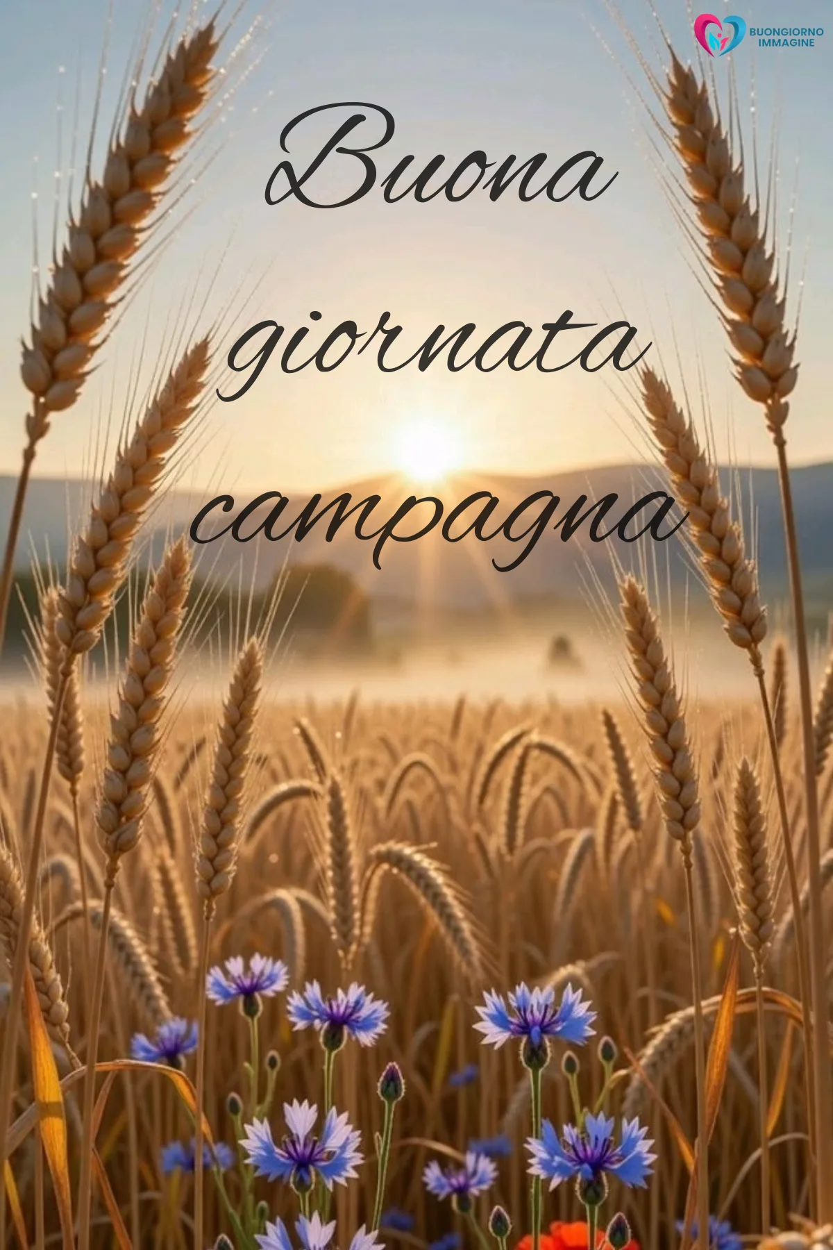 buona giornata divertente simpatica con caffè e biscotti freschi