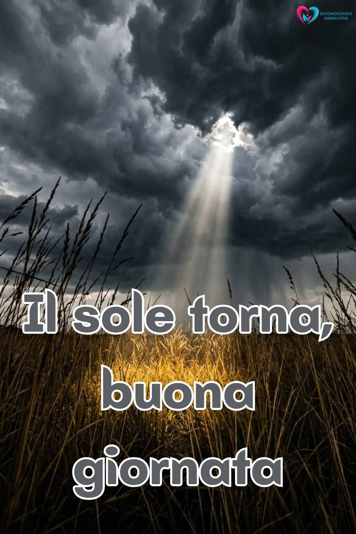 felice giornata immagini nuove con fiori colorati e sole