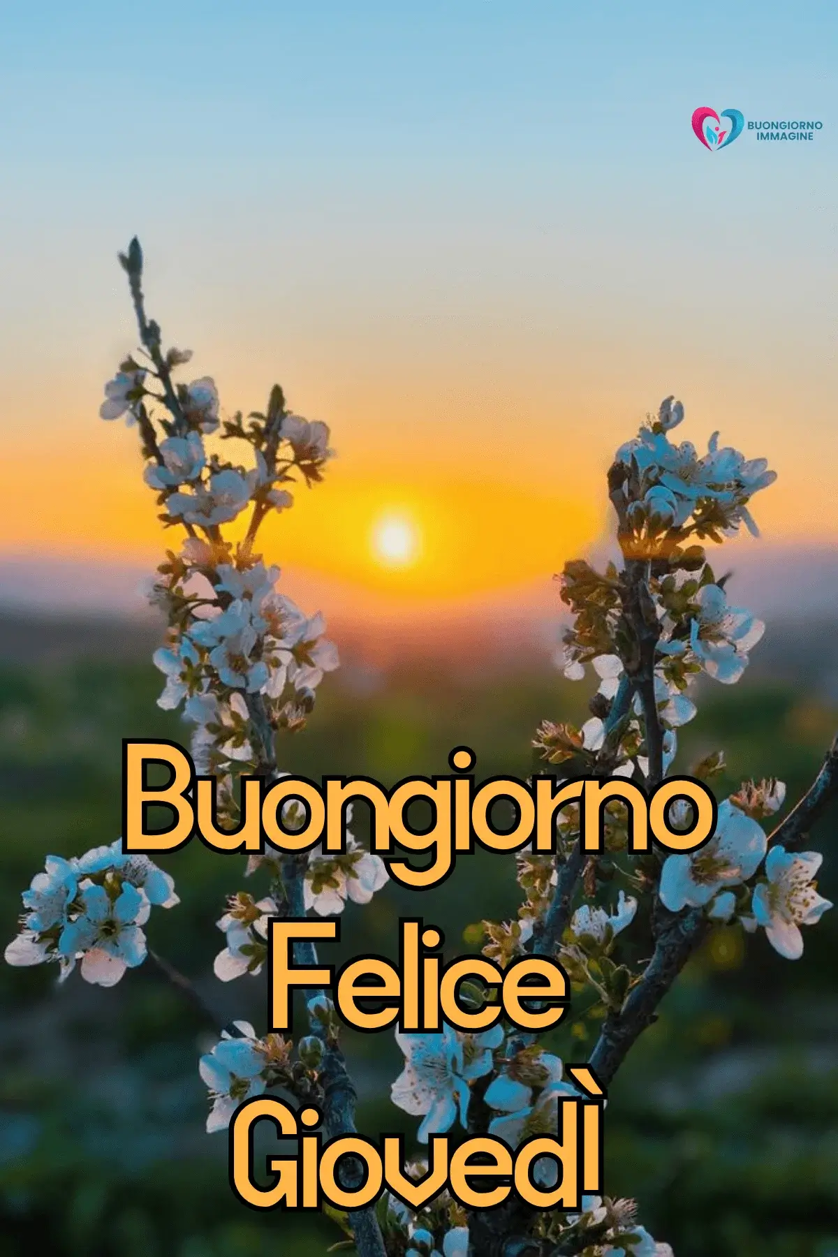 buongiorno buon giovedì immagini con fiori colorati