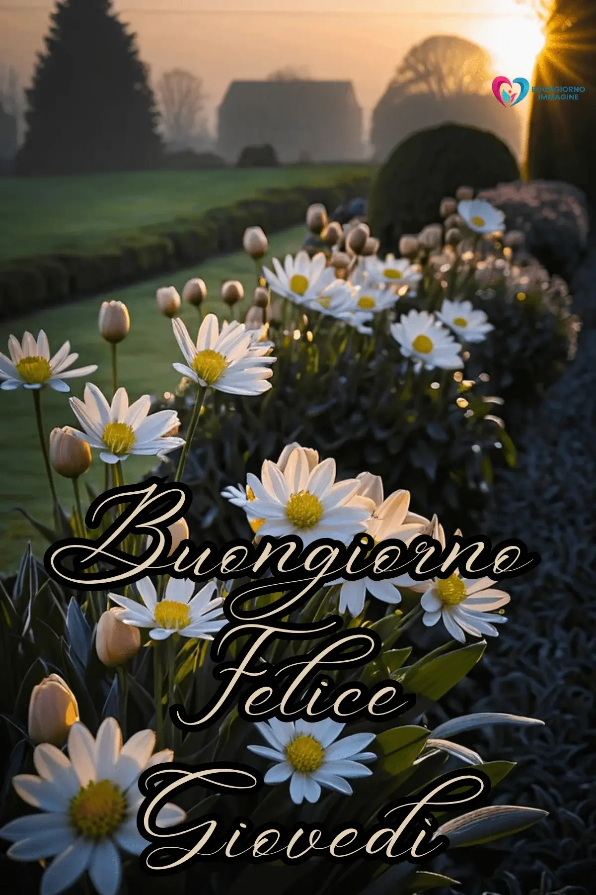 immagini buongiorno nuovissime bellissime