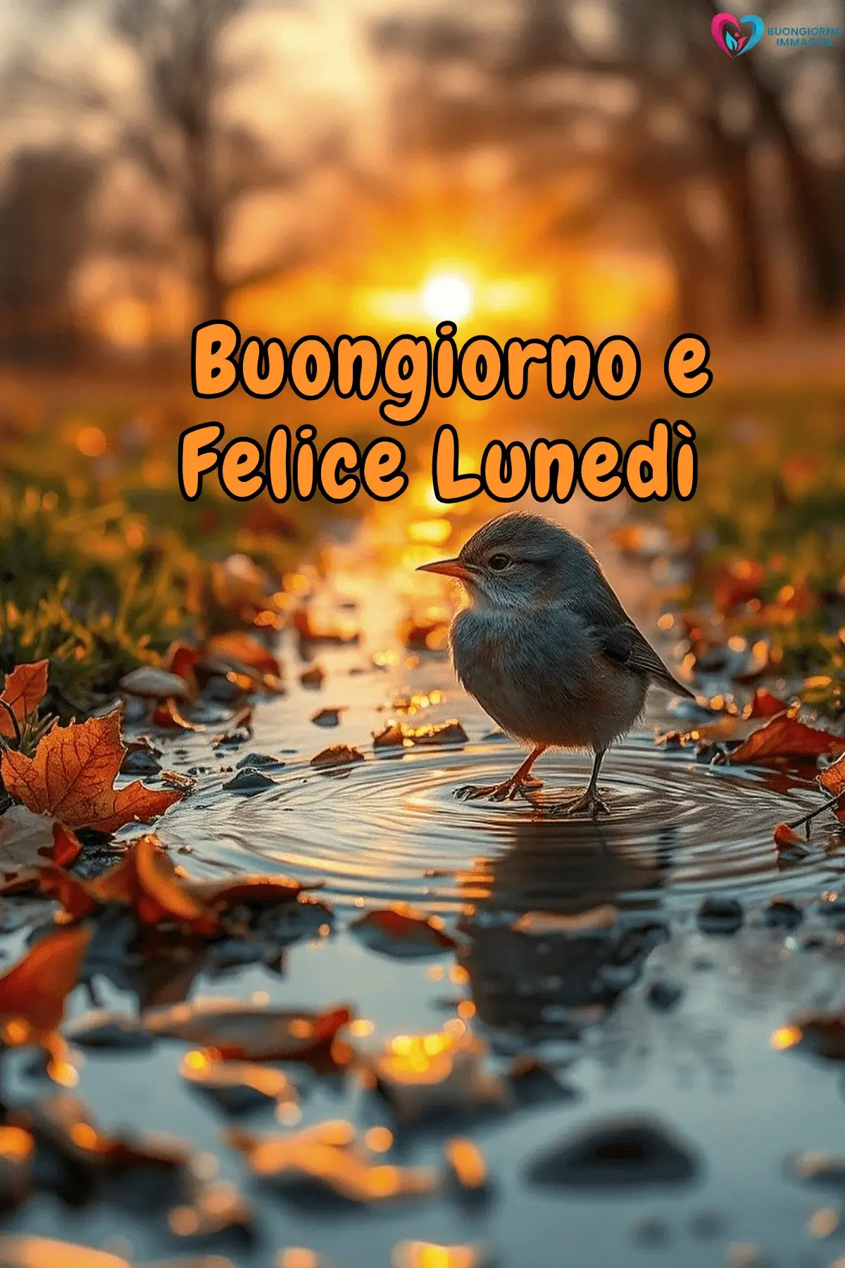 buongiorno buon lunedì con energia mattutina positiva