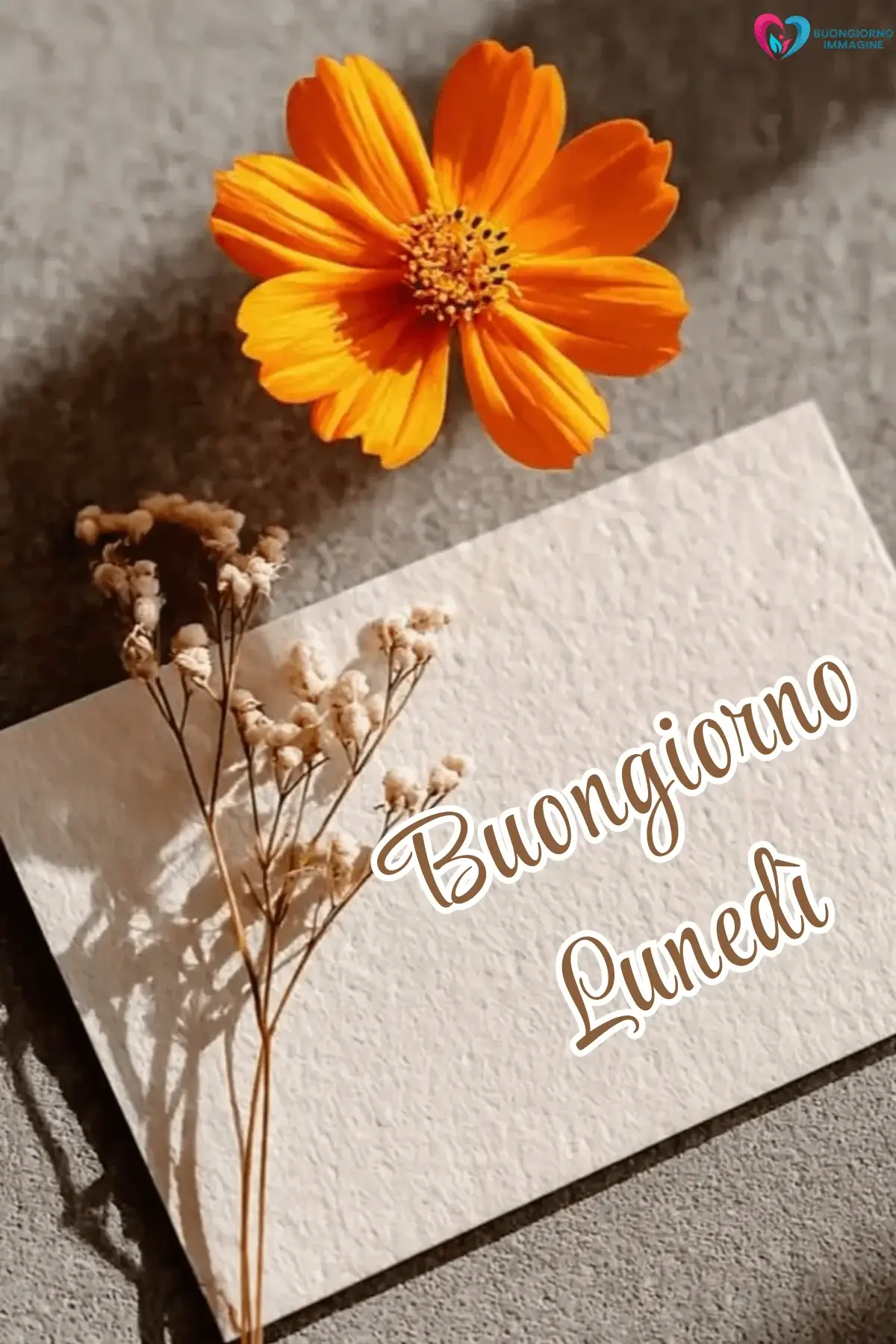 buongiorno buon lunedì con felicità mattutina italiana