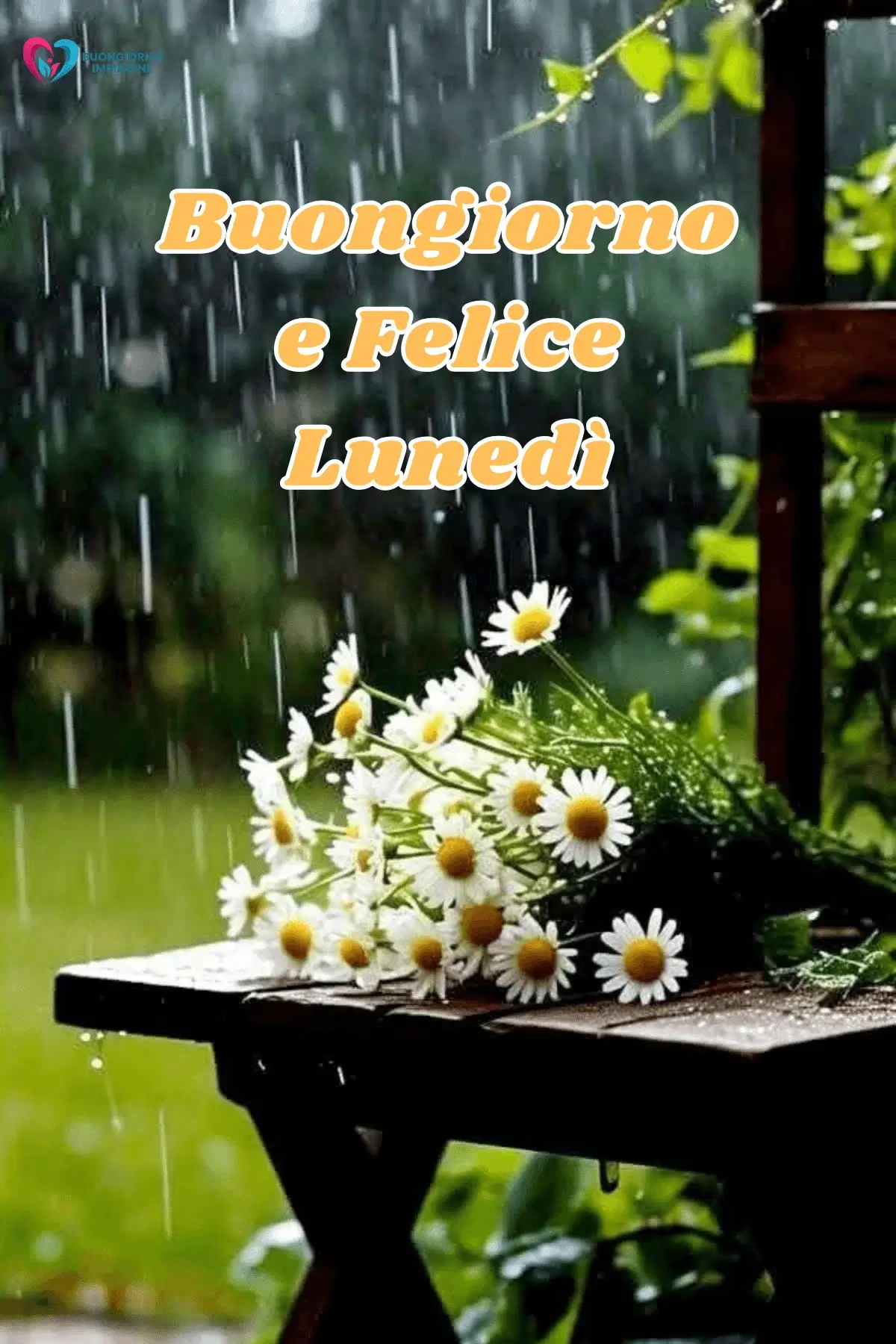 buongiorno buon lunedì con nuove opportunità
