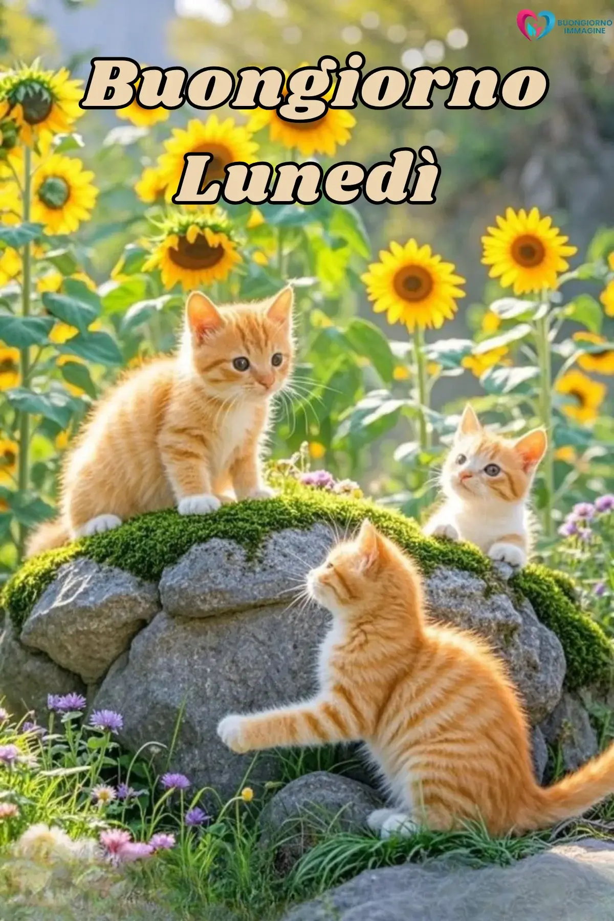 buongiorno buon lunedì con pensiero positivo italiano