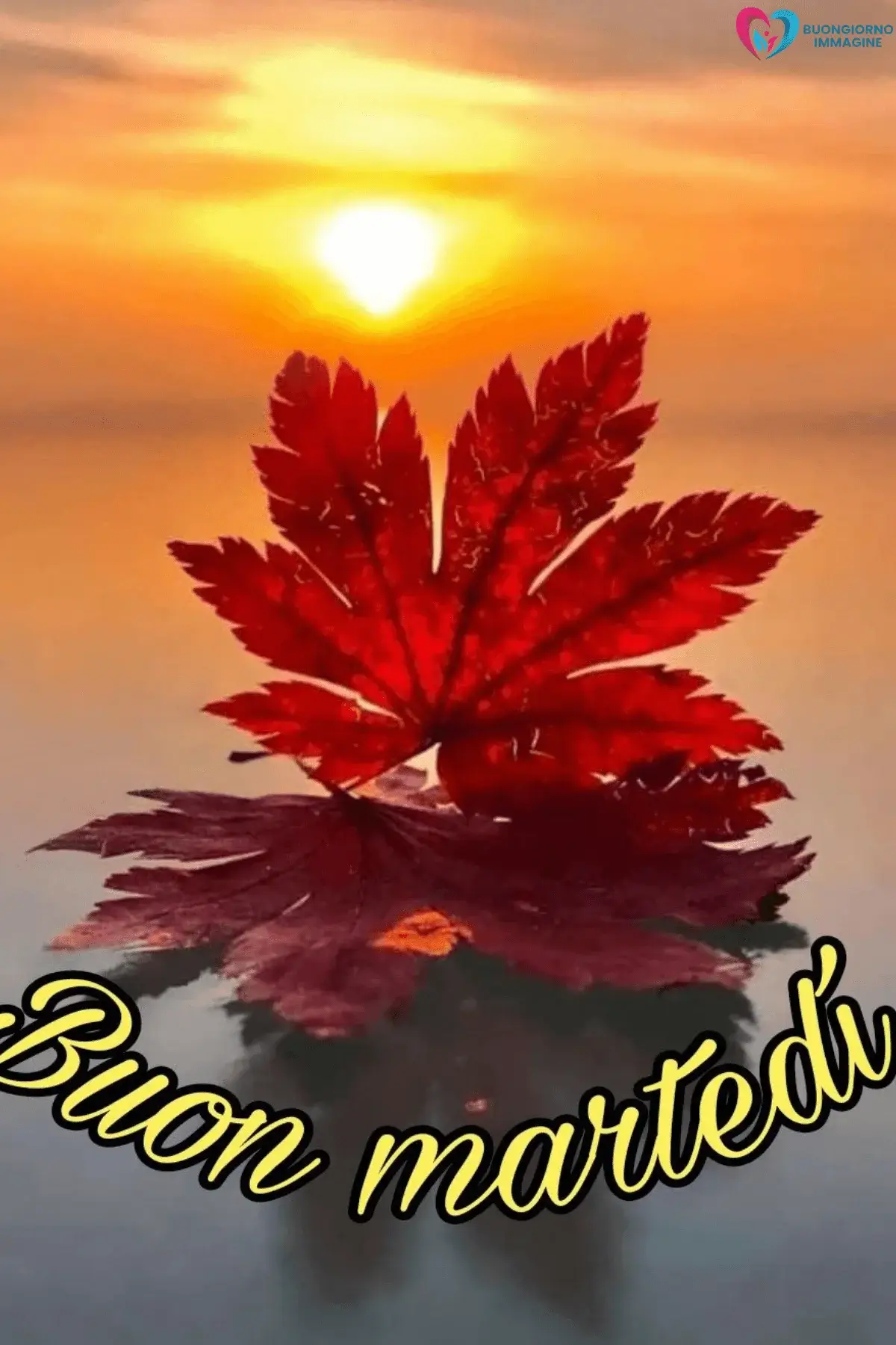 Buon Martedì
