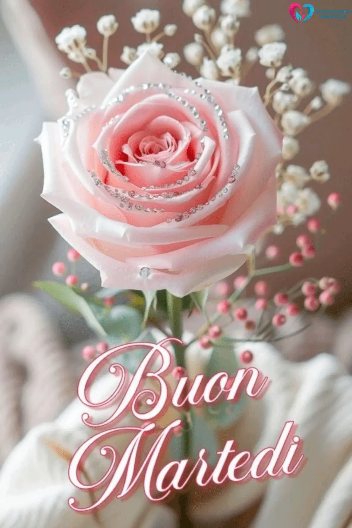 immagini buongiorno bellissime con fiori colorati e sole