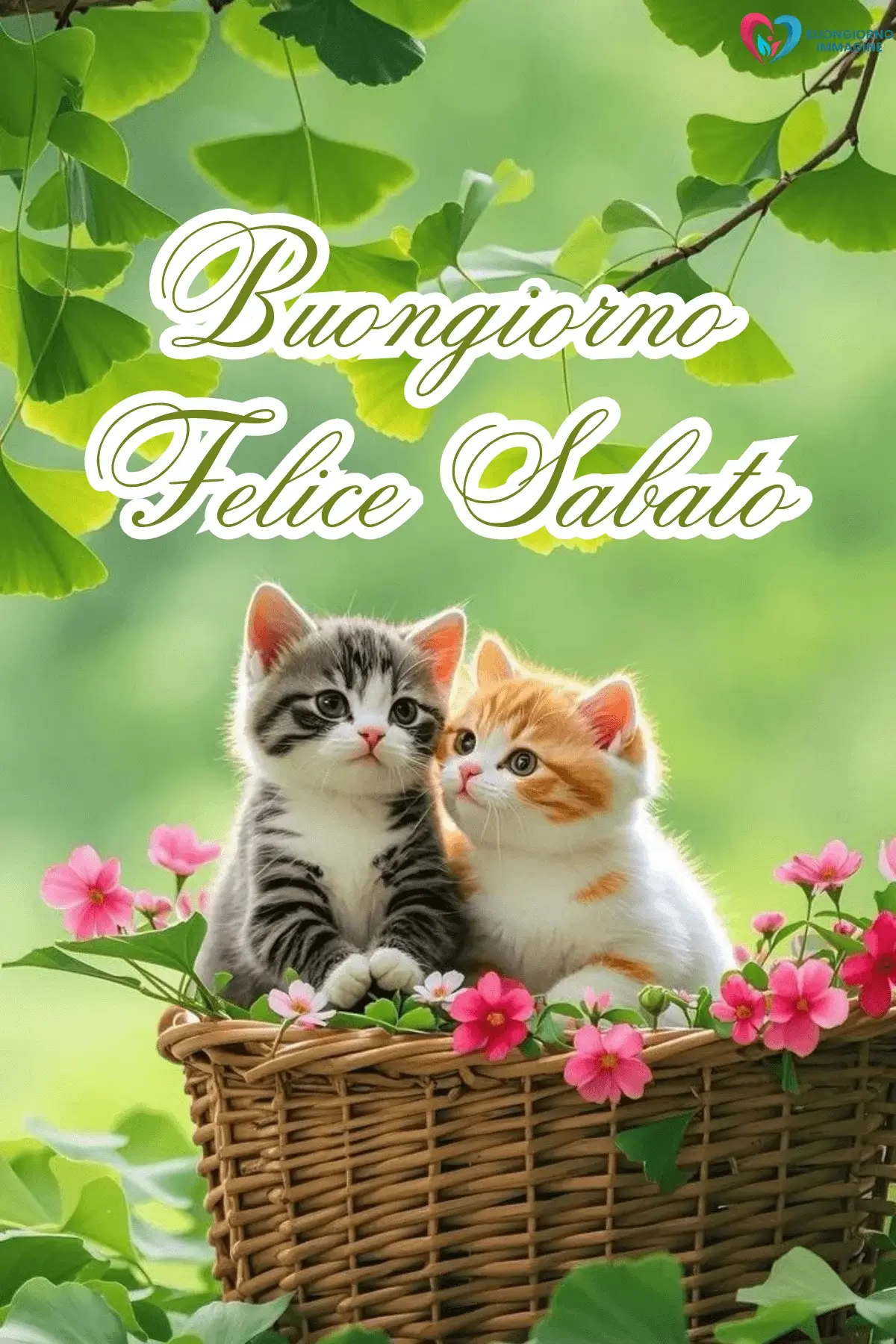 buongiorno buon sabato con buon umore mattutino