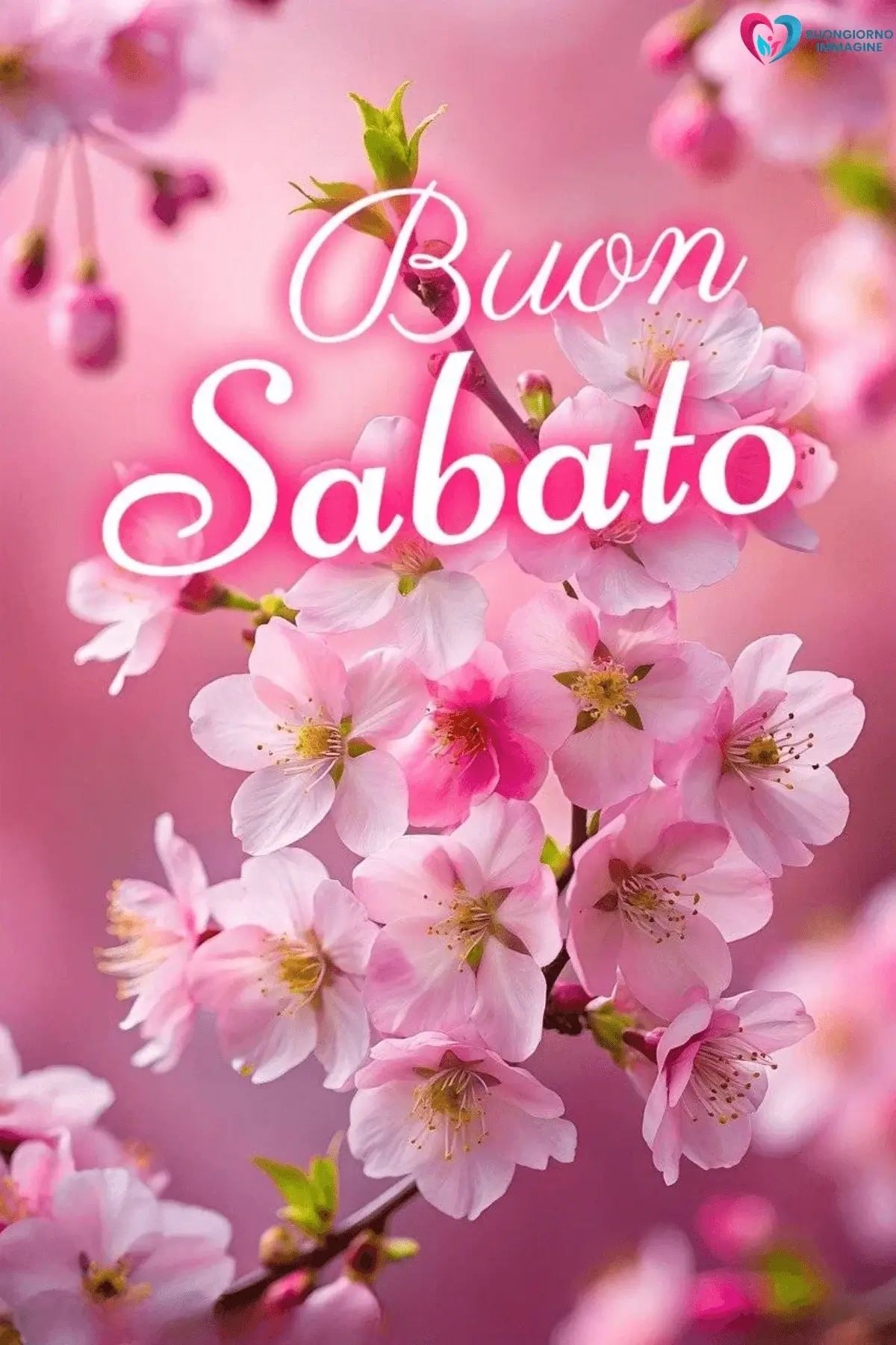 buongiorno buon sabato con citazioni motivazionali brevi