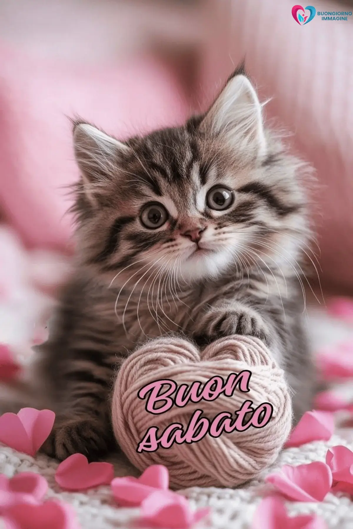 buongiorno buon sabato con energia positiva weekend