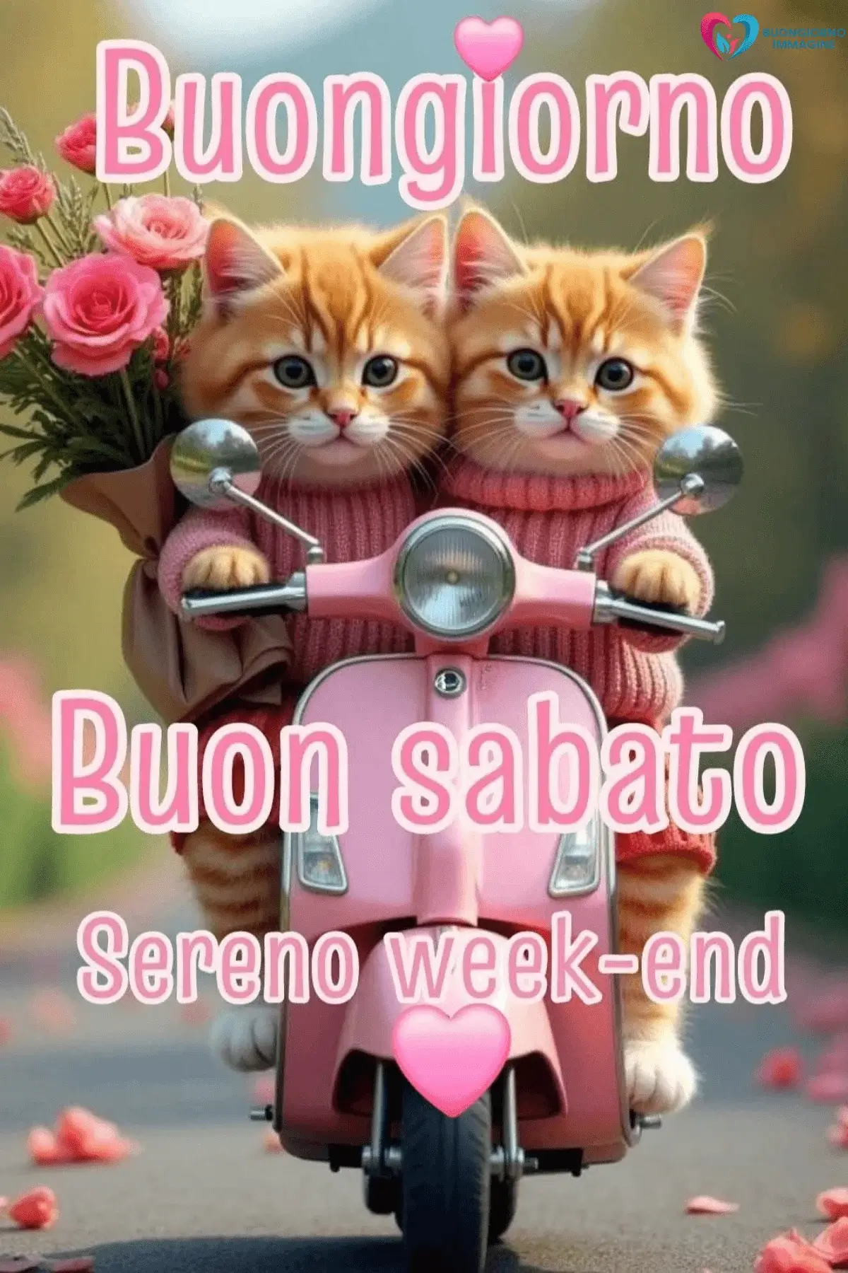buongiorno buon sabato con messaggi per amici speciali
