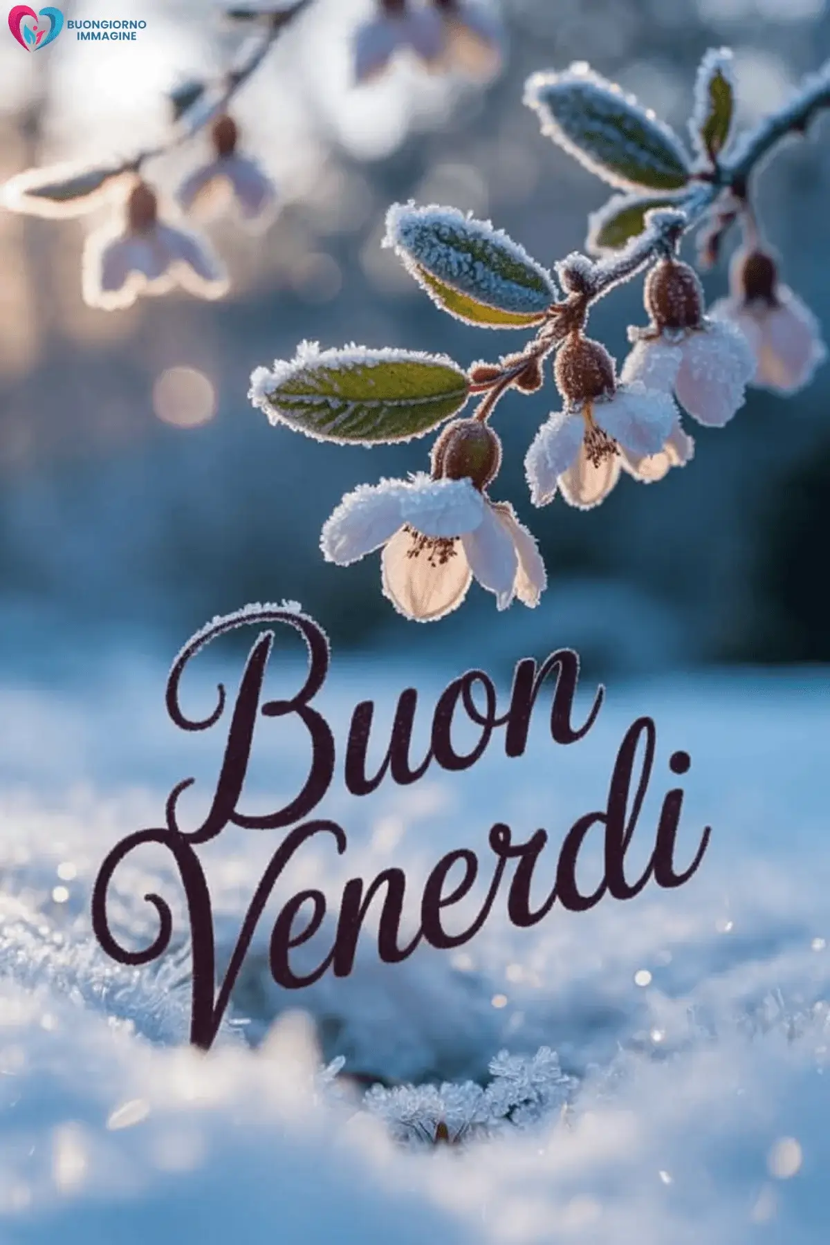 buongiorno buon venerdì immagini con colori delicati