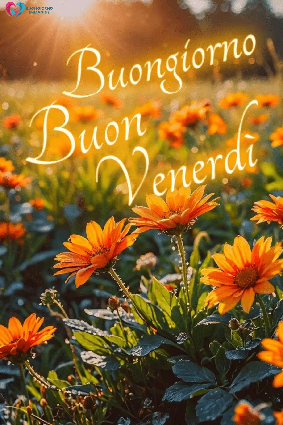 buongiorno buon venerdì immagini con energia positiva