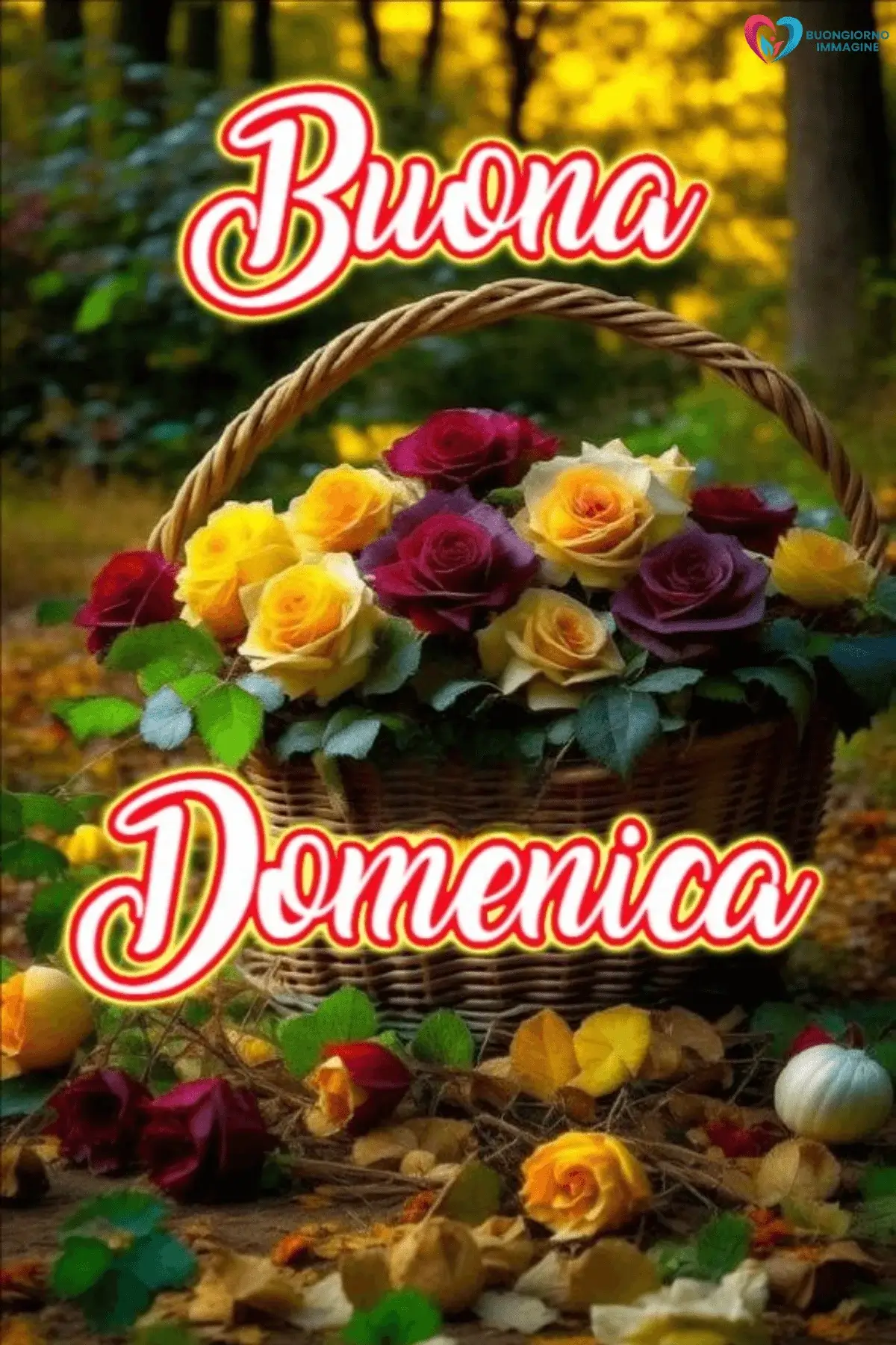 buongiorno buona domenica con auguri buona giornata