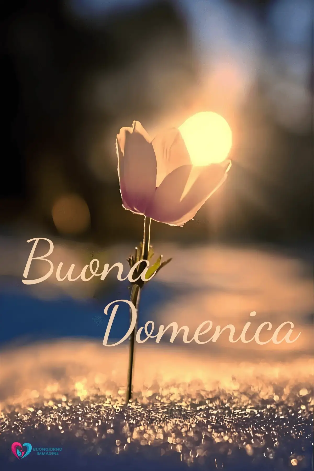 buongiorno buona domenica con felicità e relax