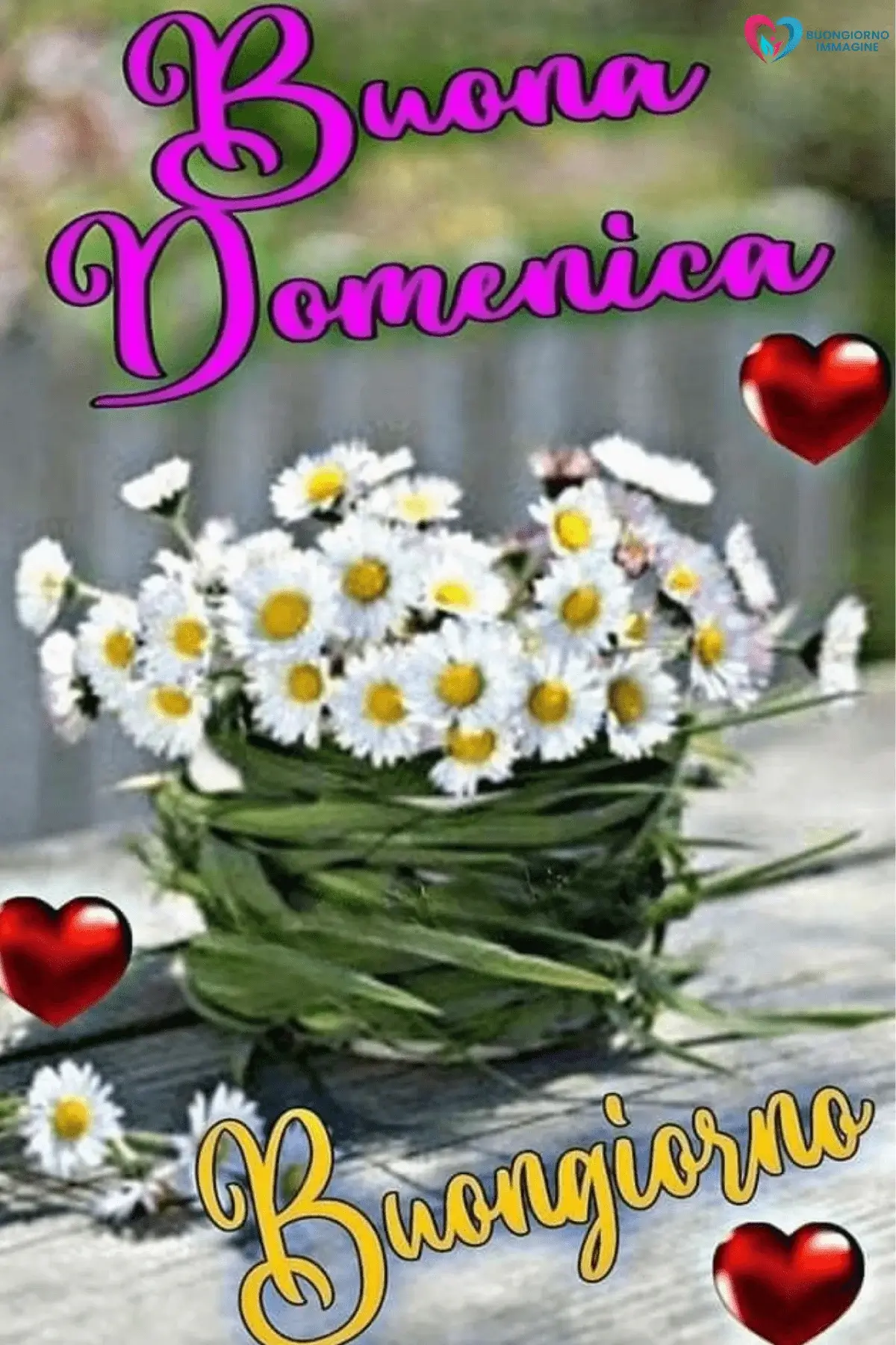 buongiorno buona domenica con inizio giornata sereno