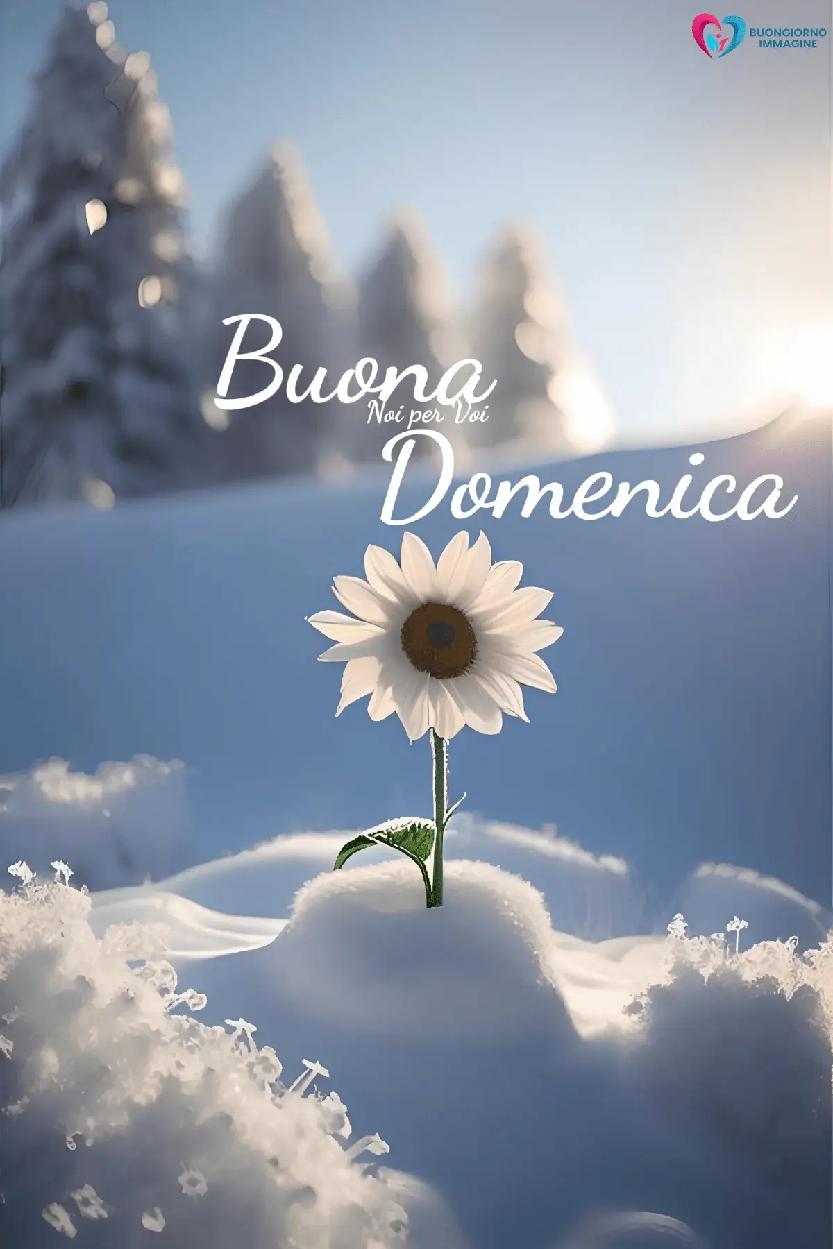 buongiorno buona domenica con parole positive italiane