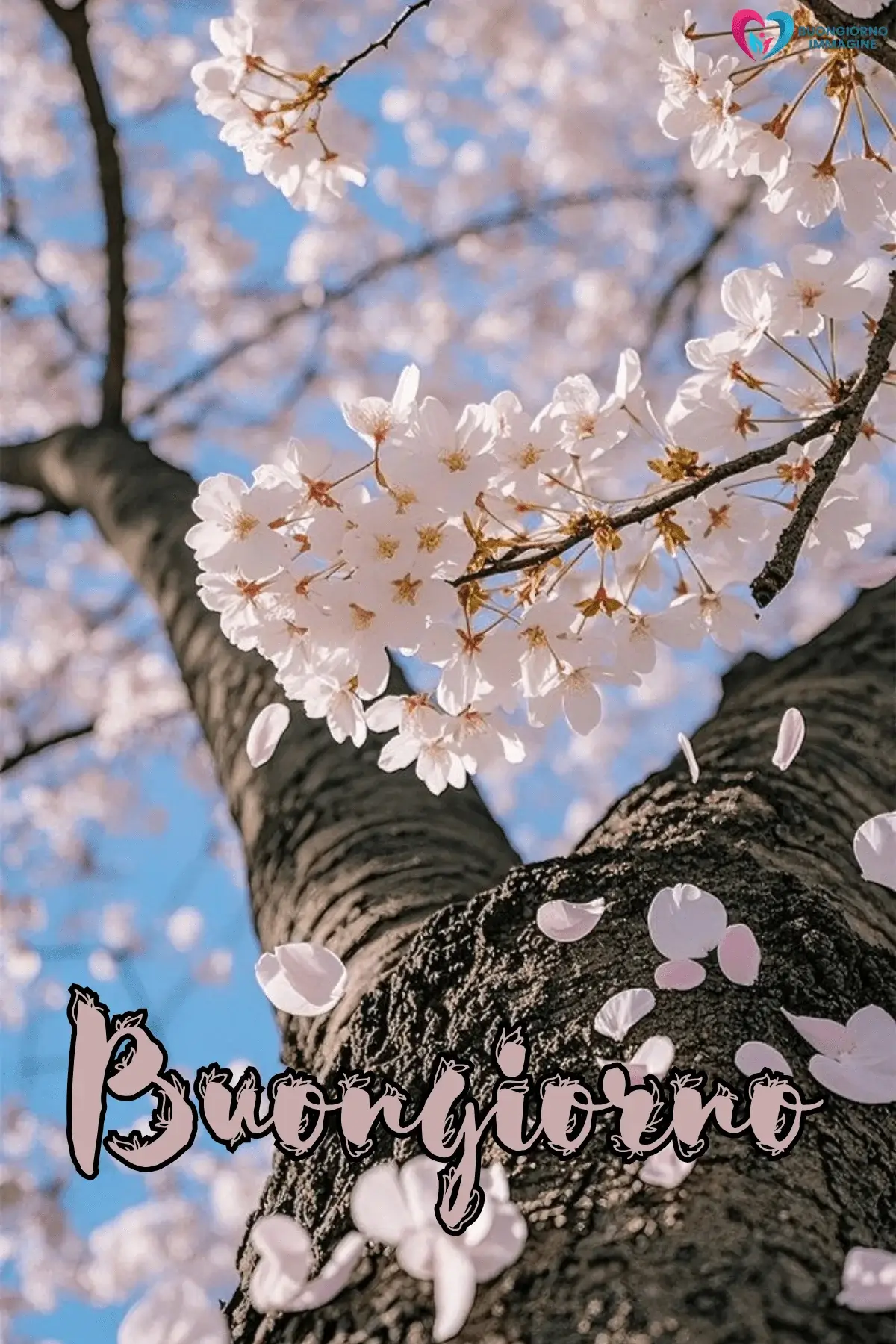buongiorno con bouquet di fiori colorati