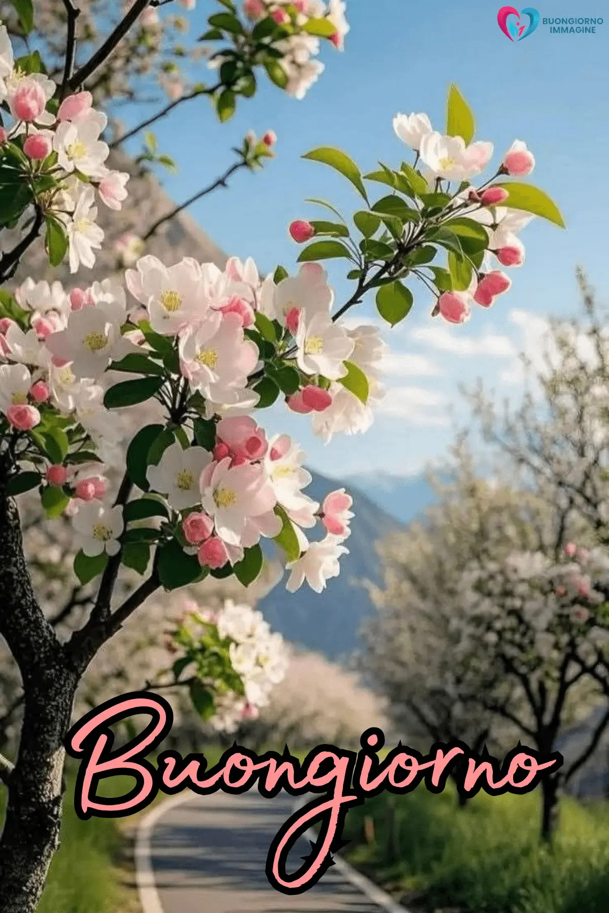 buongiorno con bouquet floreale colorato
