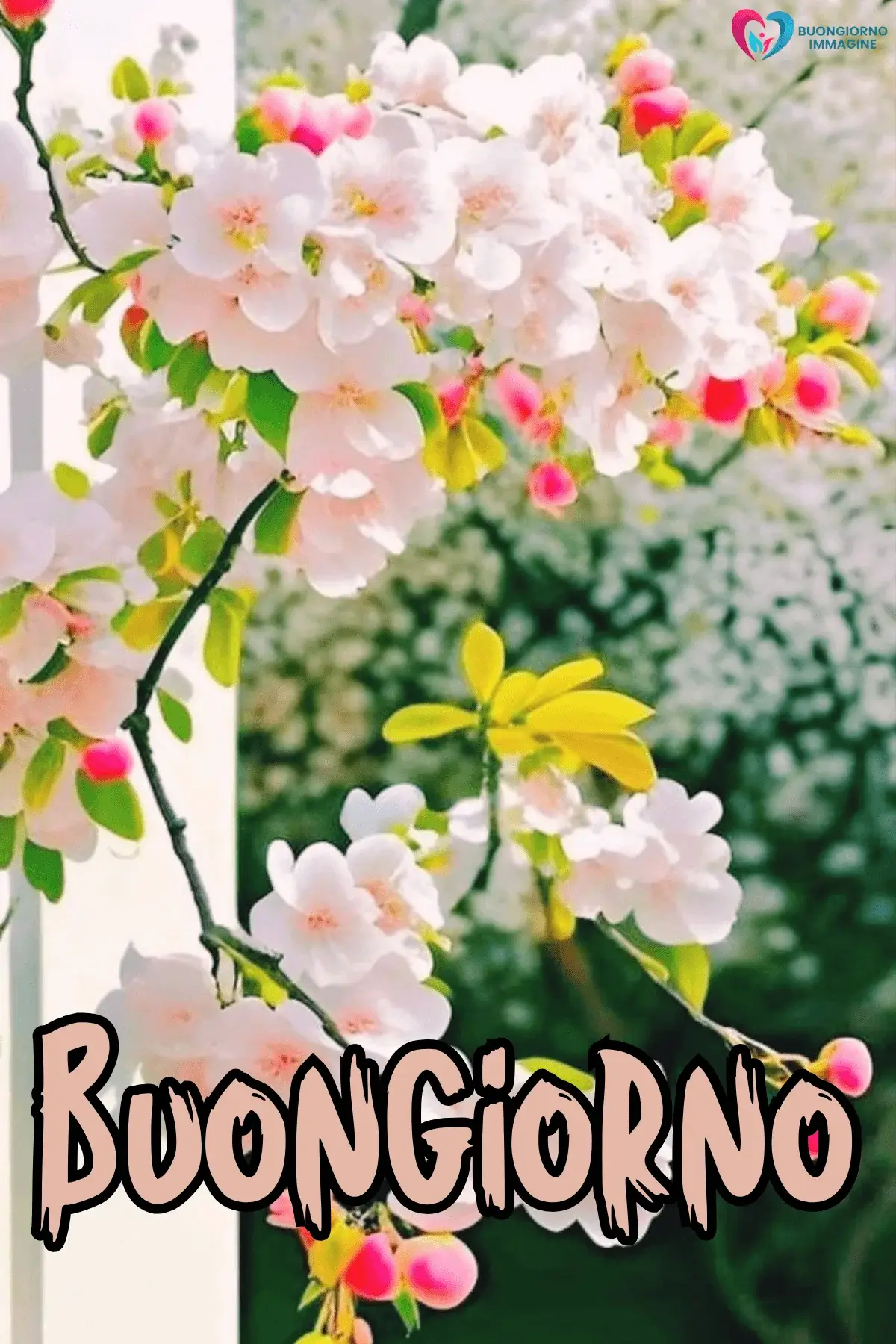 buongiorno con composizioni floreali eleganti