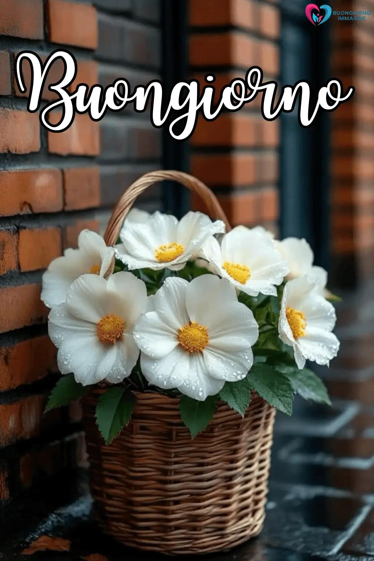 buongiorno con fiori colorati e gioia