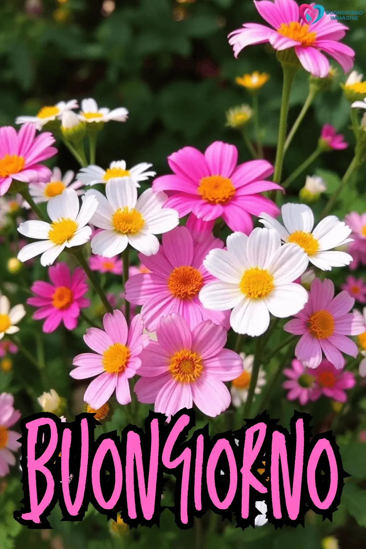 buongiorno con fiori e auguri speciali