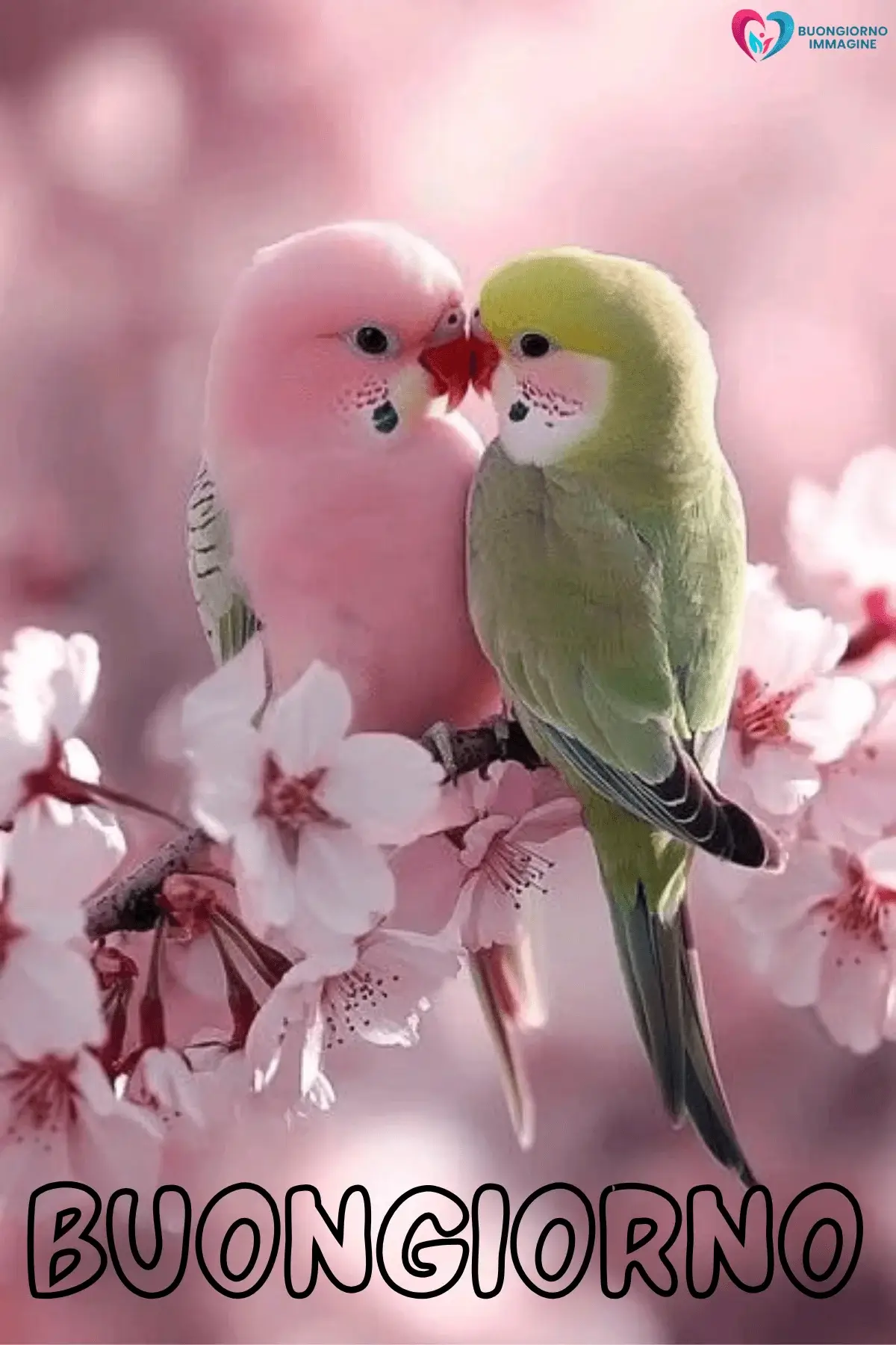 buongiorno con fiori e buongiorno amici