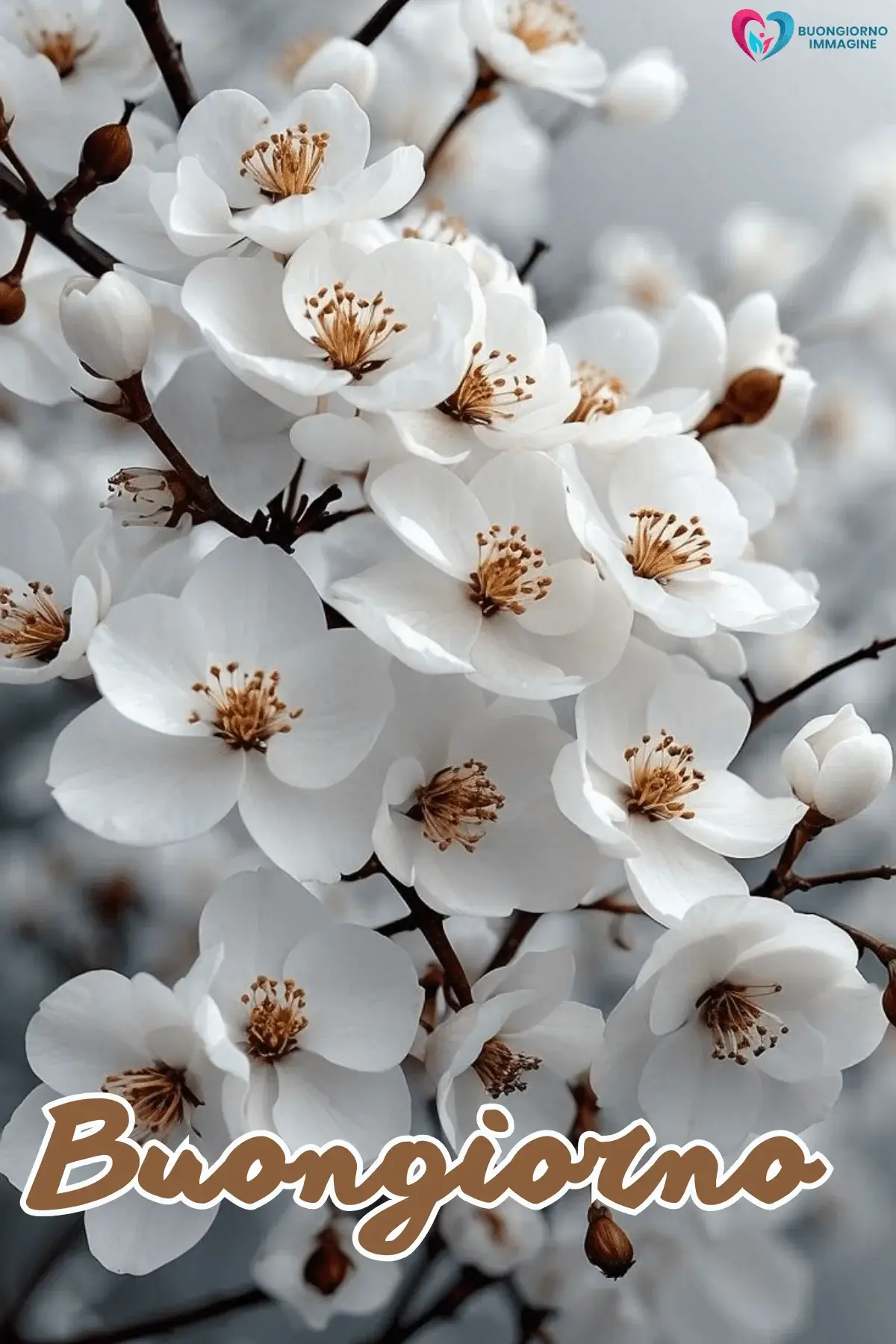 buongiorno con fiori e messaggi motivazionali