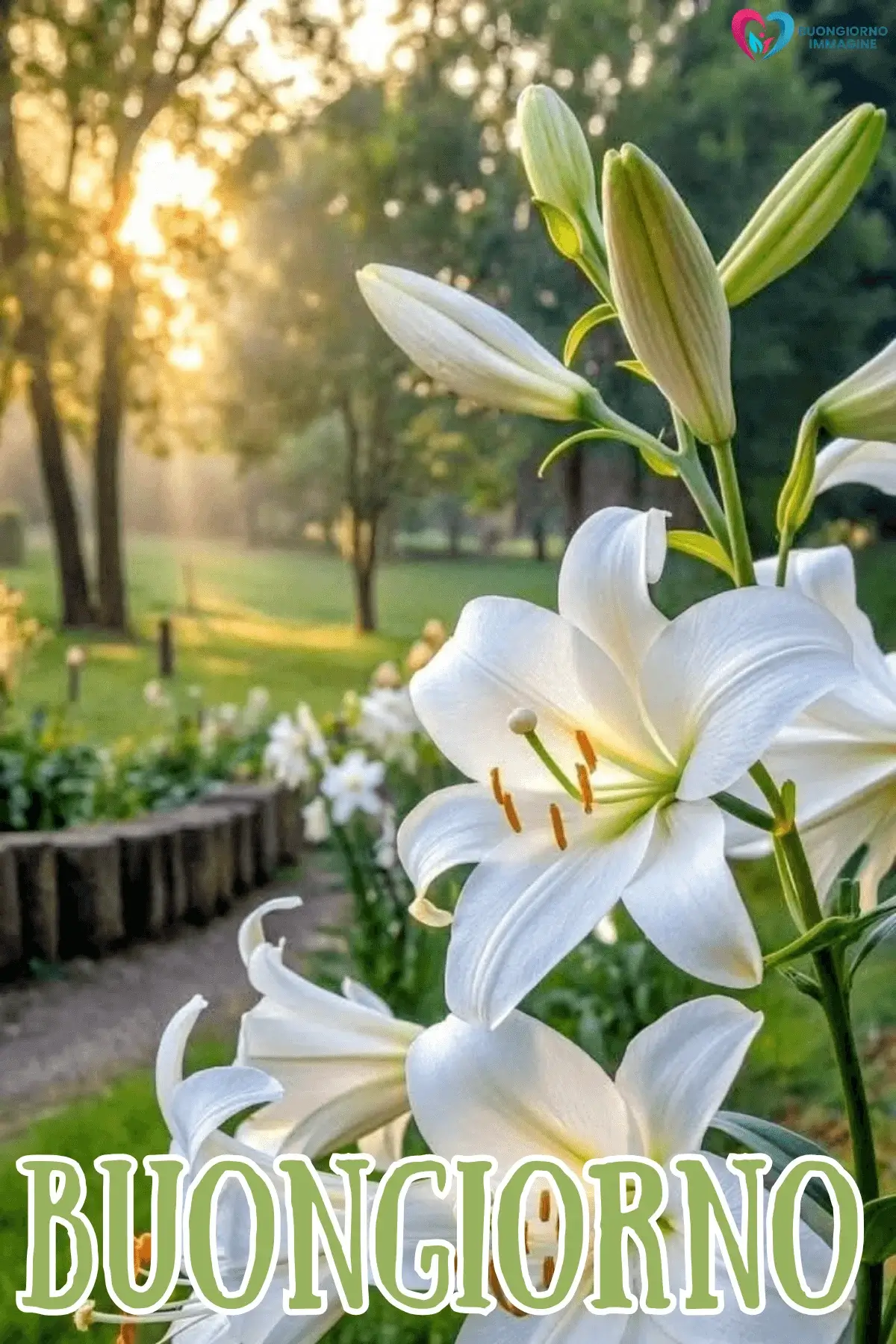 buongiorno con fiori e paesaggi naturali