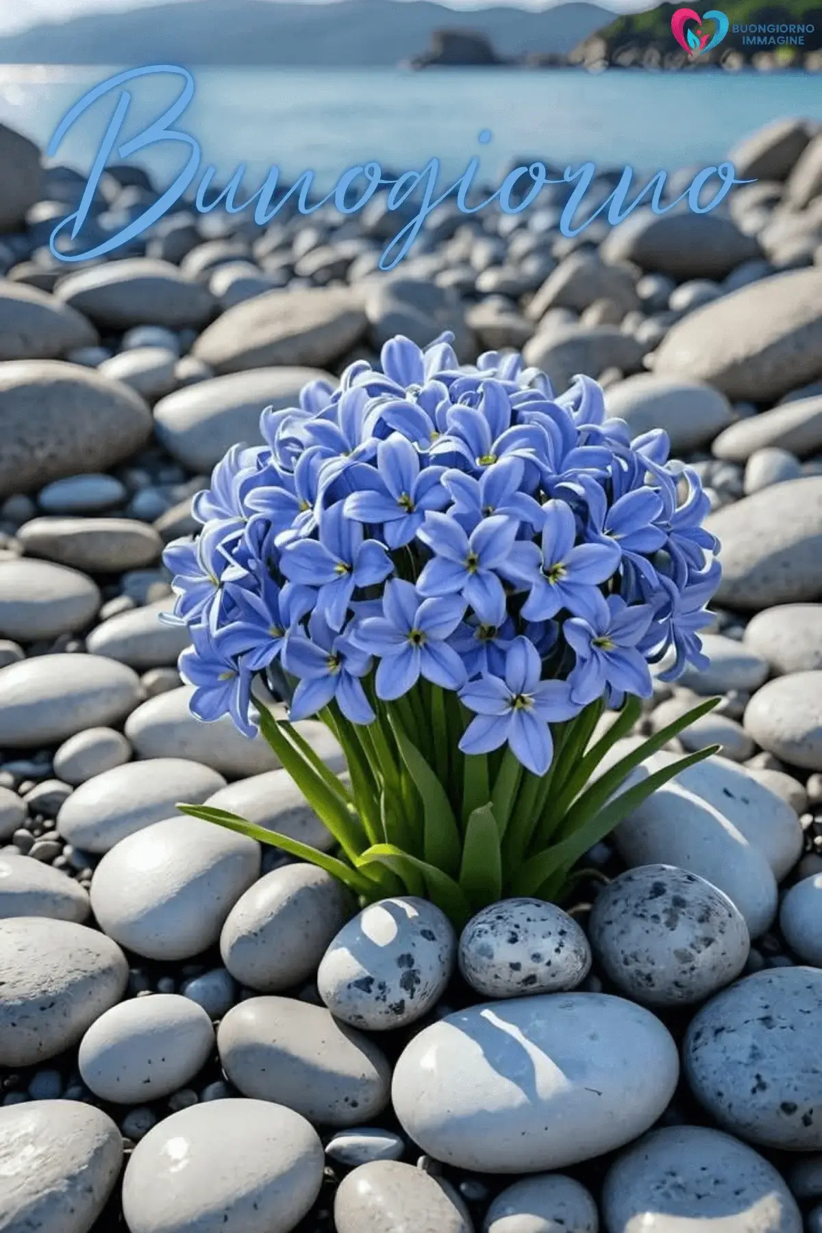 buongiorno con fiori e pensieri felici