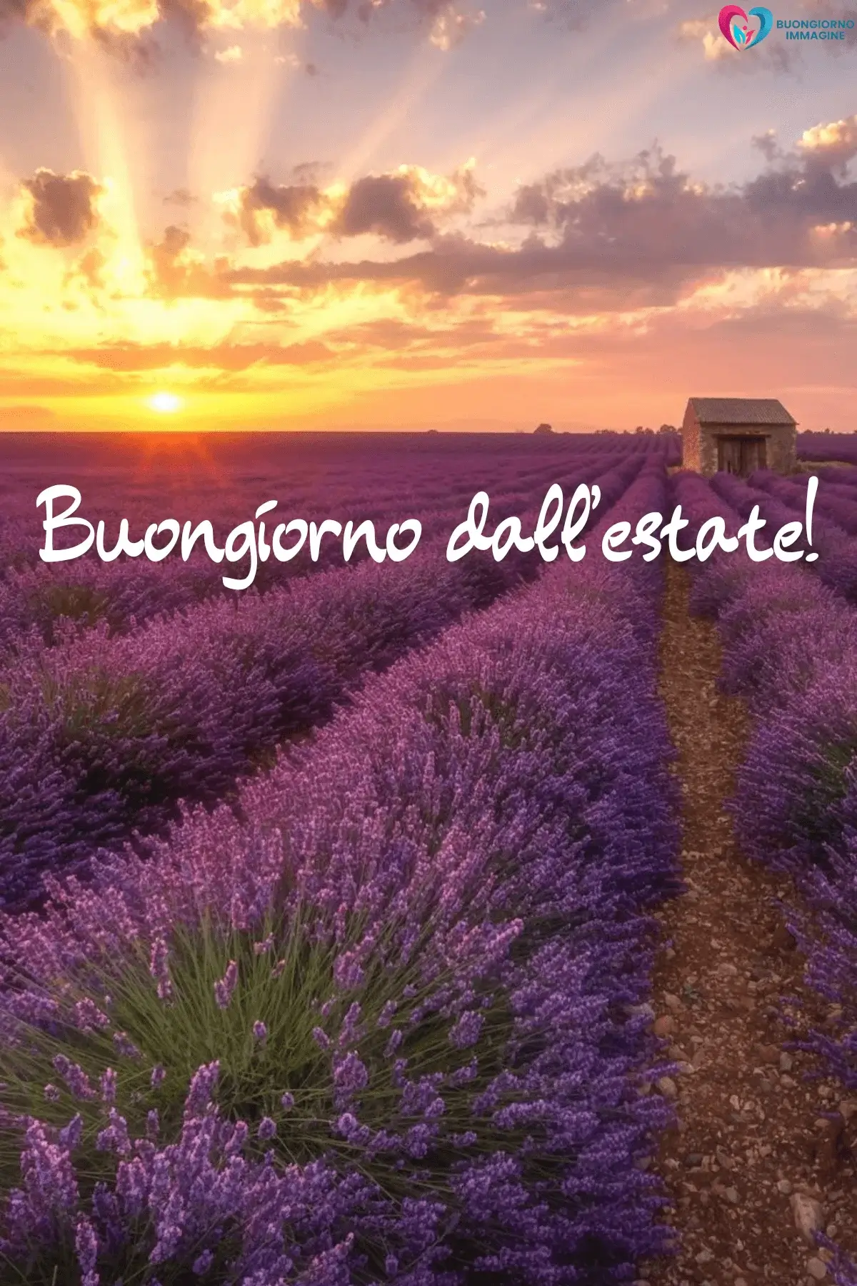 nuove immagini buongiorno estivo lavanda tramonto cielo dorato casetta