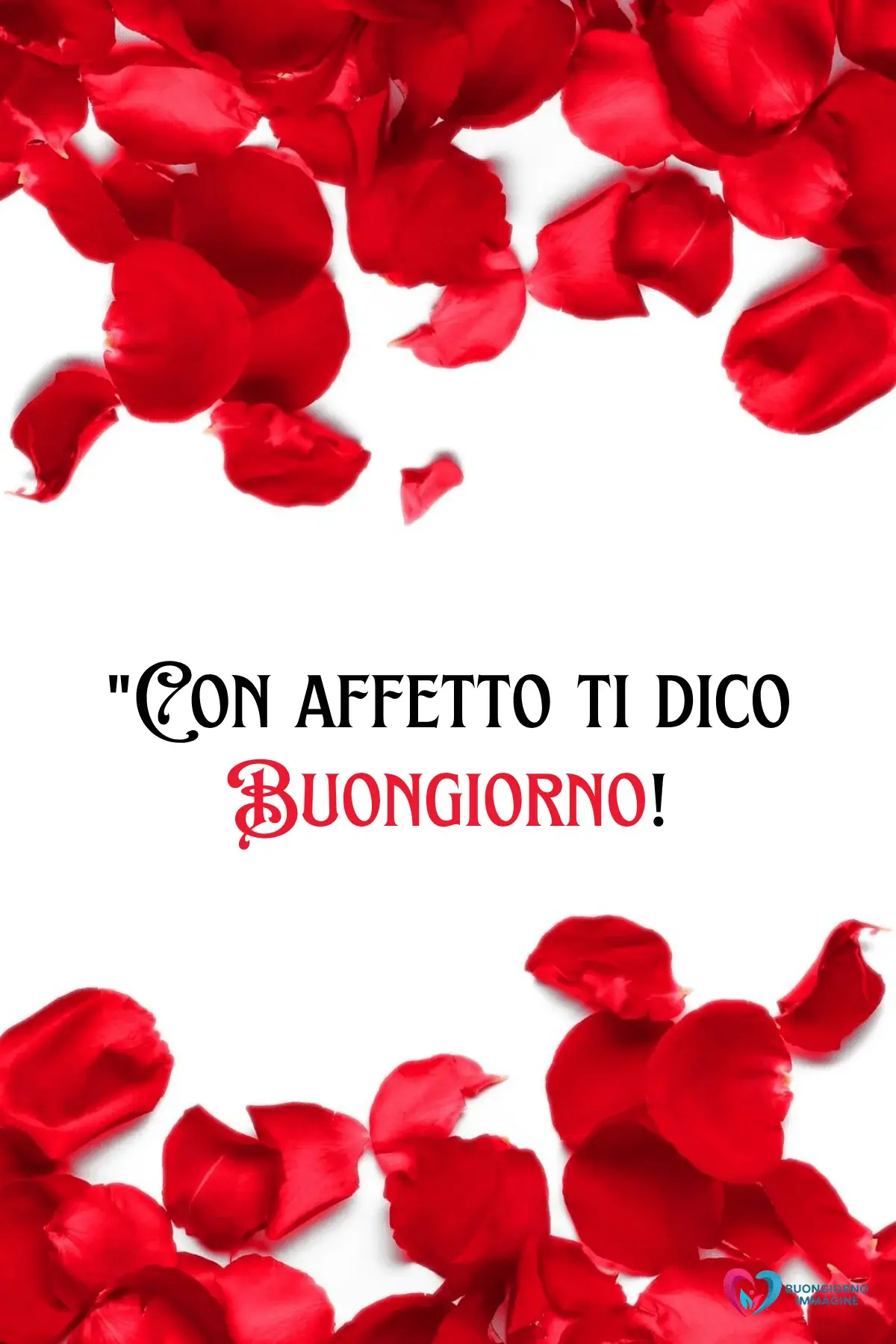 buongiorno con fiori immagini delicate e romantiche