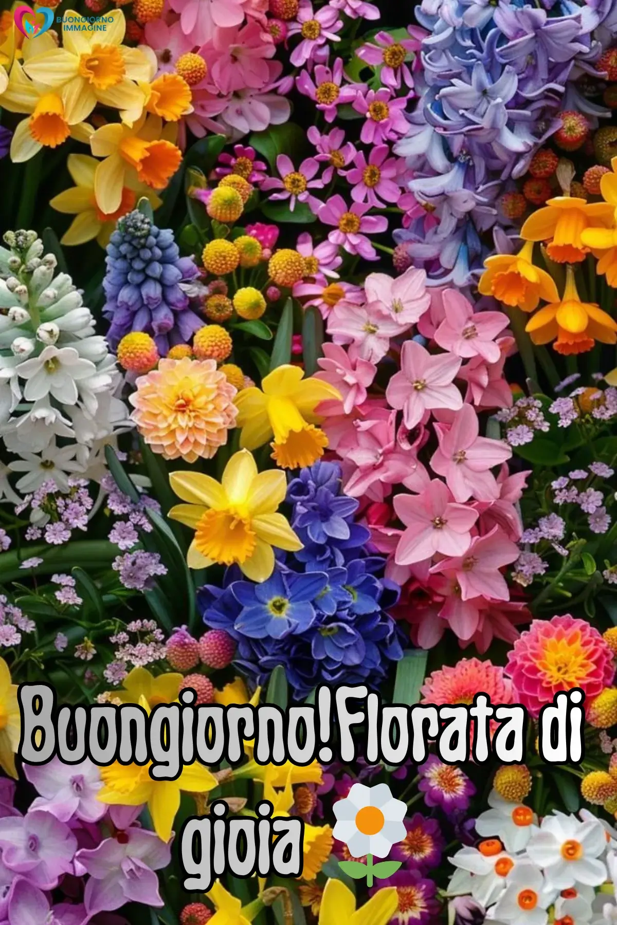 buongiorno con fiori immagini naturali e rilassanti