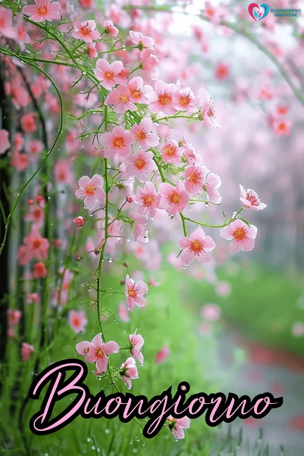 buongiorno con i fiori e pensieri positivi