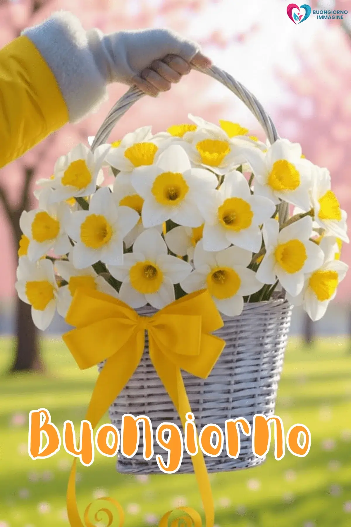 buongiorno con i fiori e vibrazioni positive