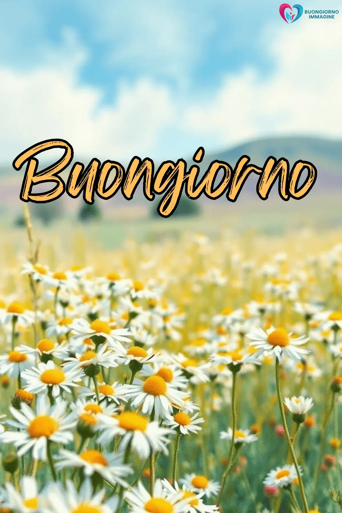 buongiorno con lavanda e cielo azzurro
