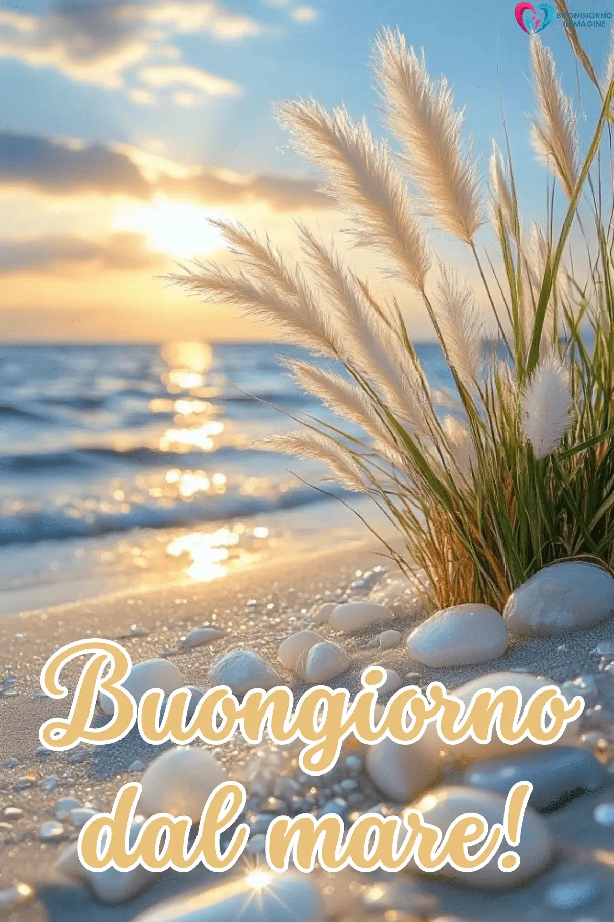 immagini buongiorno estate con erba pampas e tramonto sereno