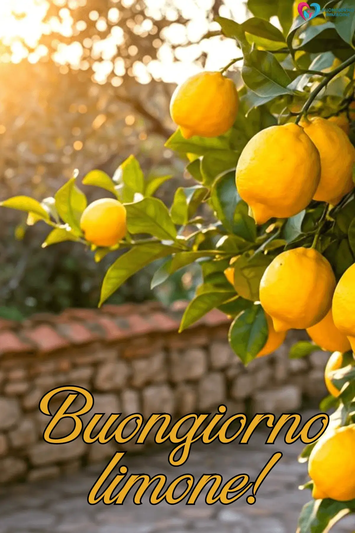 immagini buongiorno estate limoni maturi ramo sole foglie tropicali