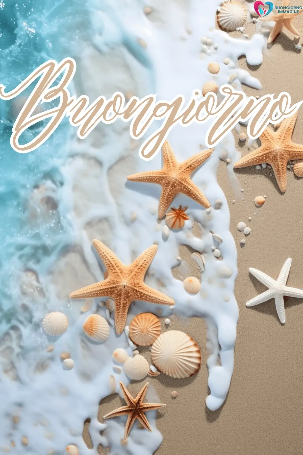 buongiorno estate gratis con stelle marine conchiglie onde rilassanti