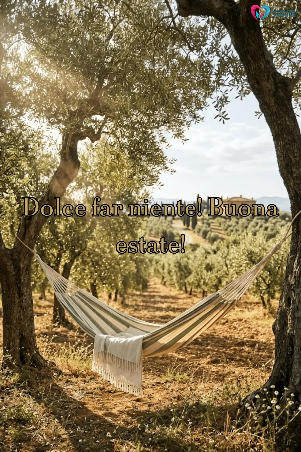 immagini buongiorno estivo con amaca ulivi campagna relax sereno