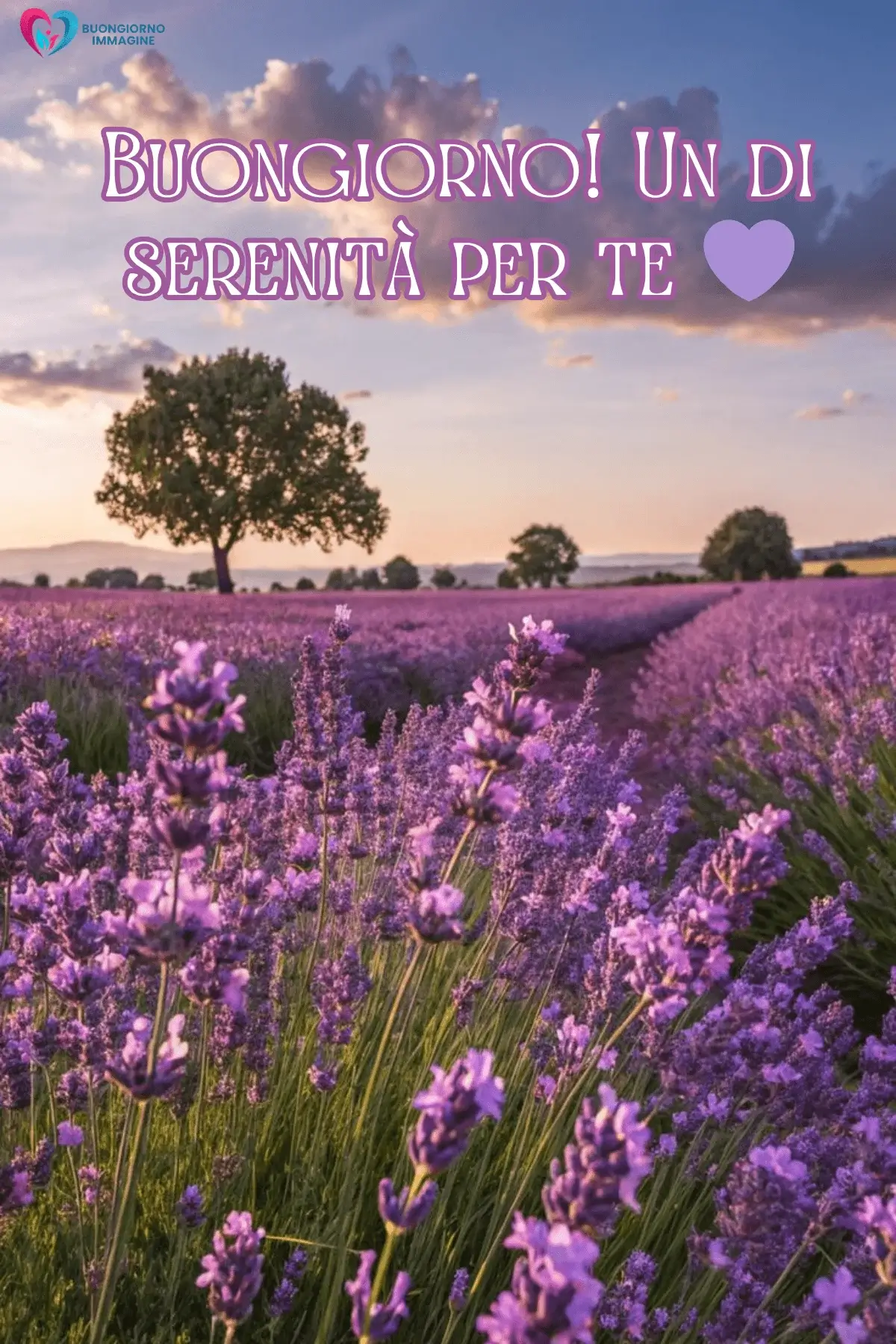 buongiorno fiori immagini con colori vivaci e freschi