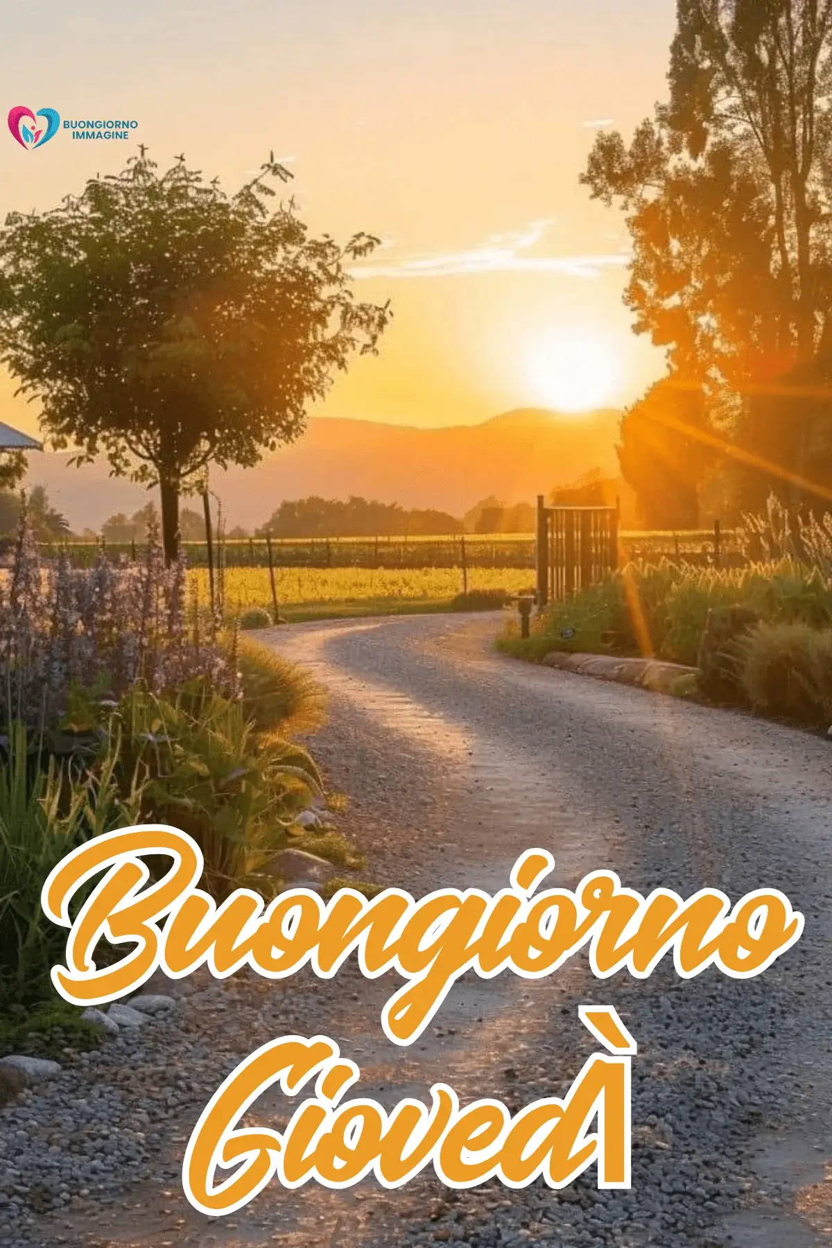buongiorno giovedì immagini gratis per chat amici