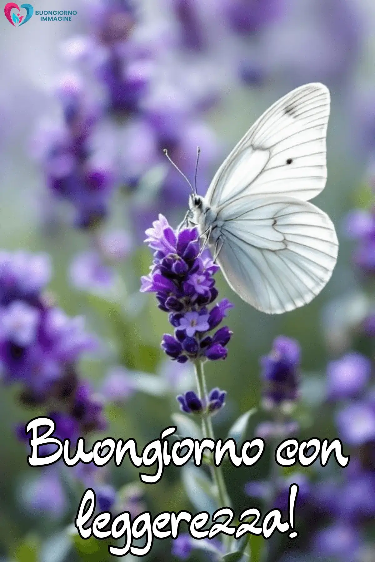 buongiorno immagini luminose con energia positiva