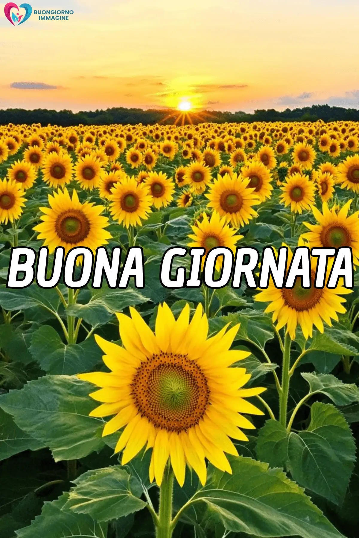 buongiorno immagini originali con buongiorno amici